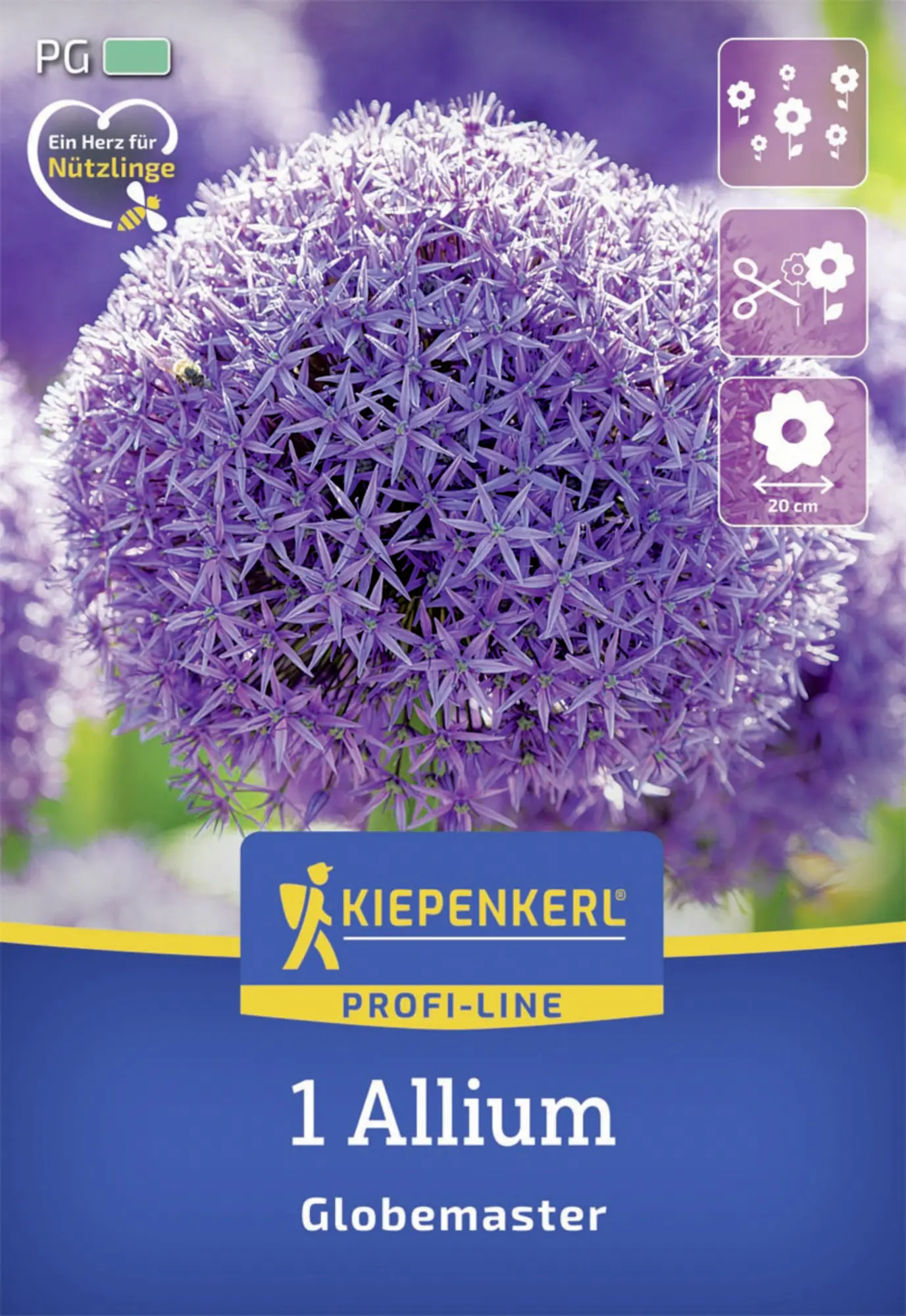 Kiepenkerl Herbstblumenzwiebel Profi-Line Zierlauch Globemaster 1 Stück