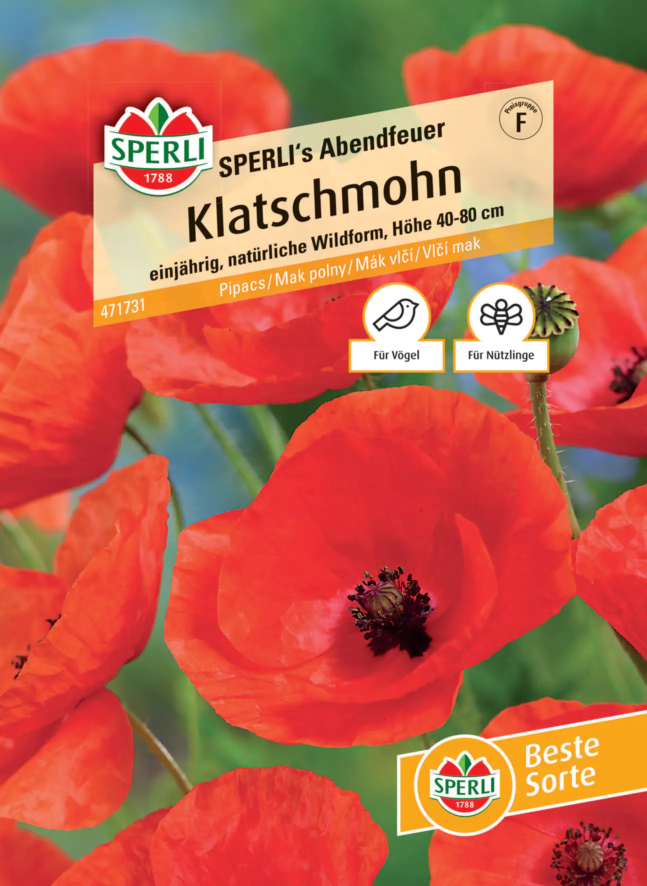 Sperli Klatschmohn SPERLI's Abendfeuer Sperli Klatschmohn SPERLI's Abendfeuer