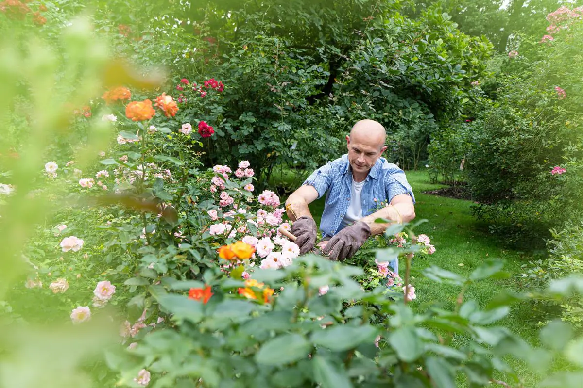 Gebol Handschuh Laurin 