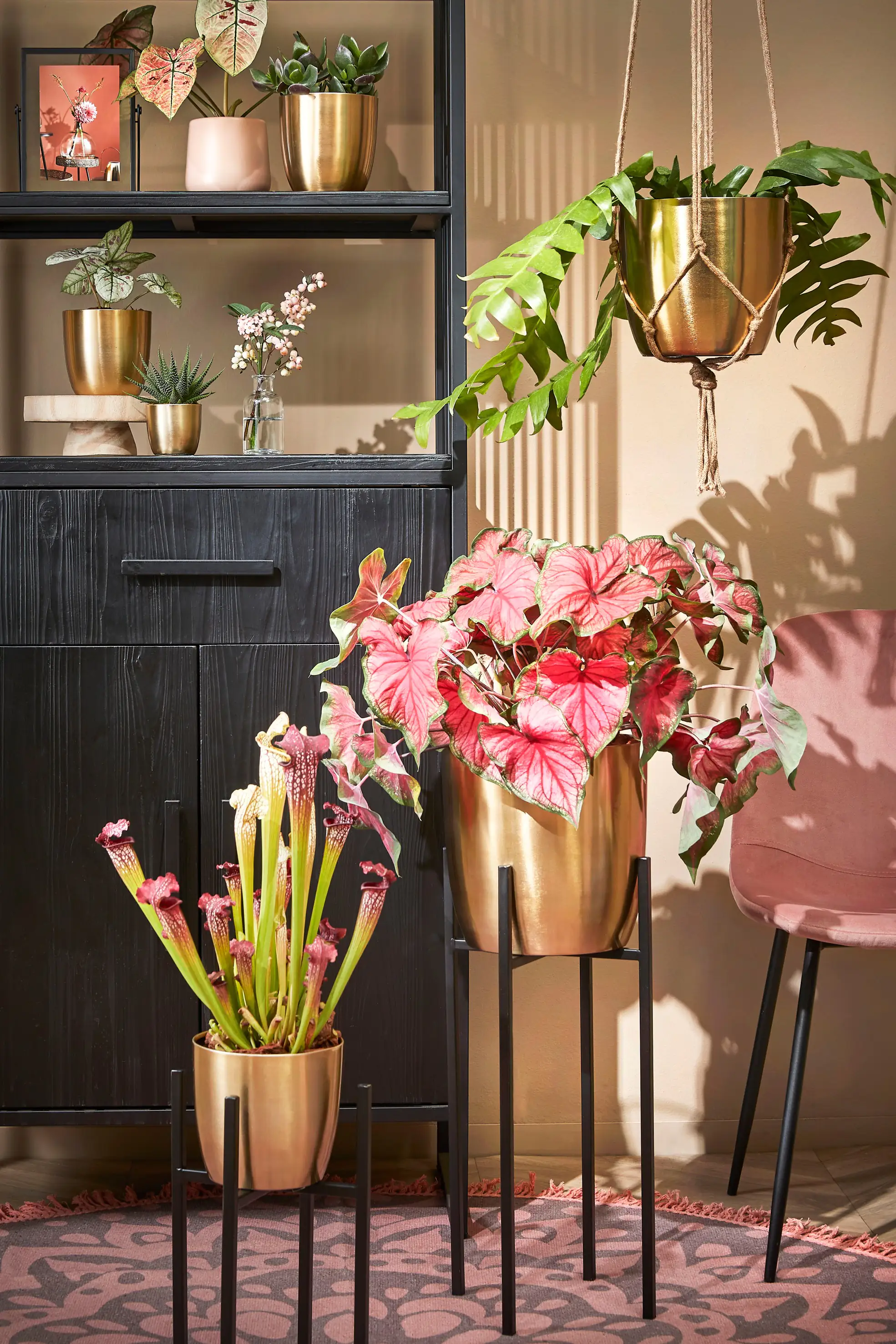 Mica Übertopf Alano rund gold  Ø 20 x 19 cm 