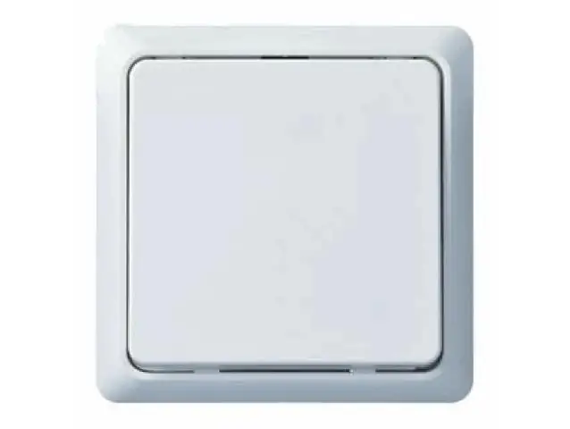 4013984104165 ELSO Taster Renovierung reinweiß, Unterputz, 506104