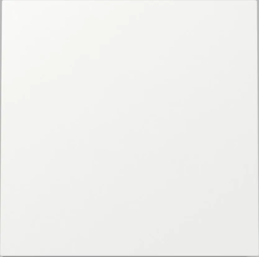 Gira Wippschalter Universal Flächenschalter reinweiß 329670