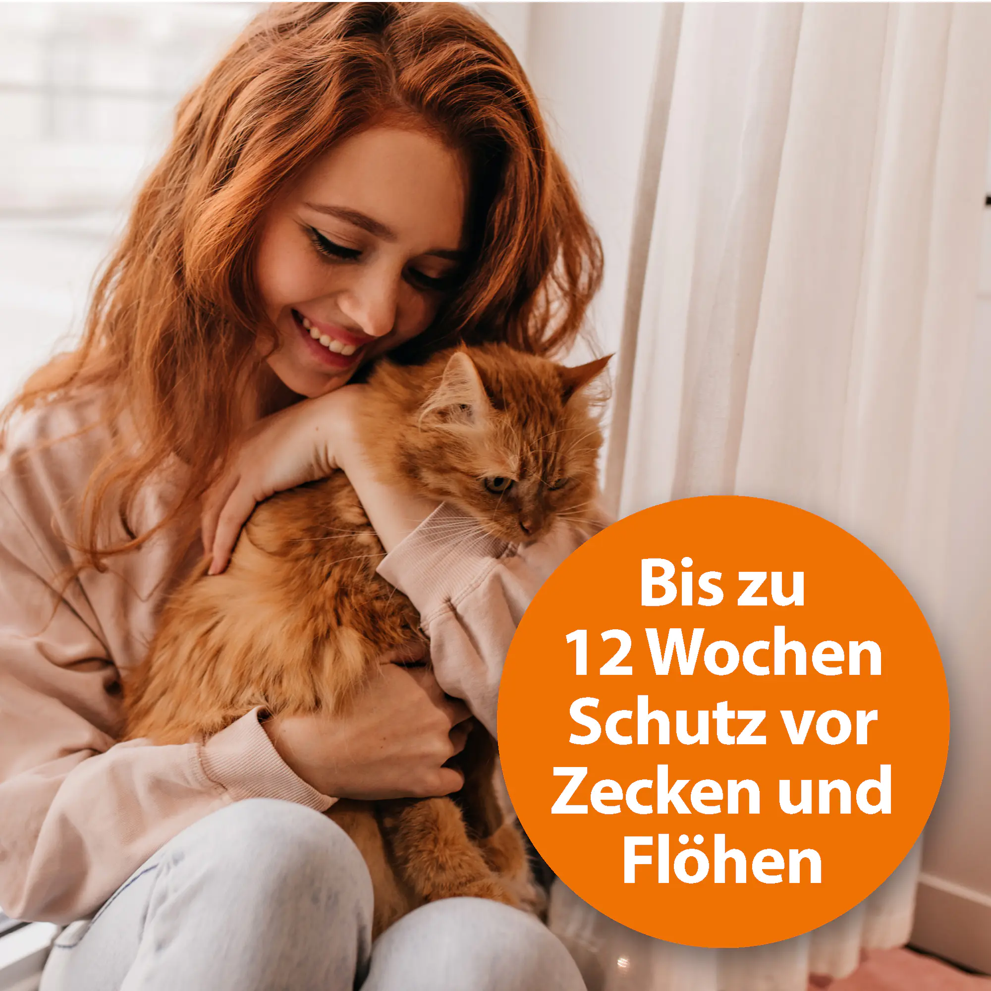 ARDAP Spot On Floh- und Zeckenschutztropfen für Katzen über 4 kg 3 x 0,8 ml ARDAP Spot On Floh- und Zeckenschutztropfen für Katzen über 4 kg 3 x 0,8 ml