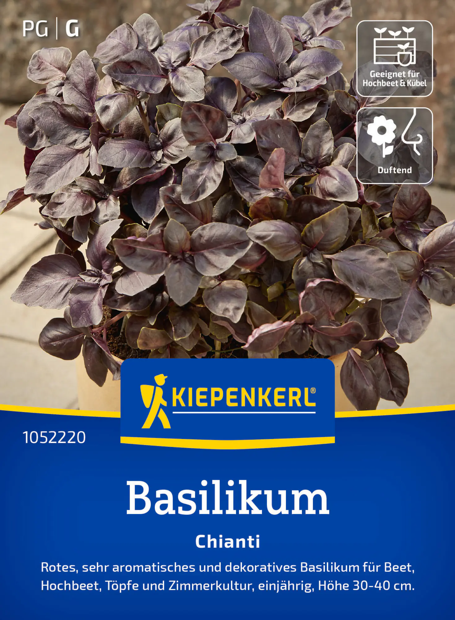 Kiepenkerl Saatgut Basilikum Chianti für ca. 150 Pflanzen