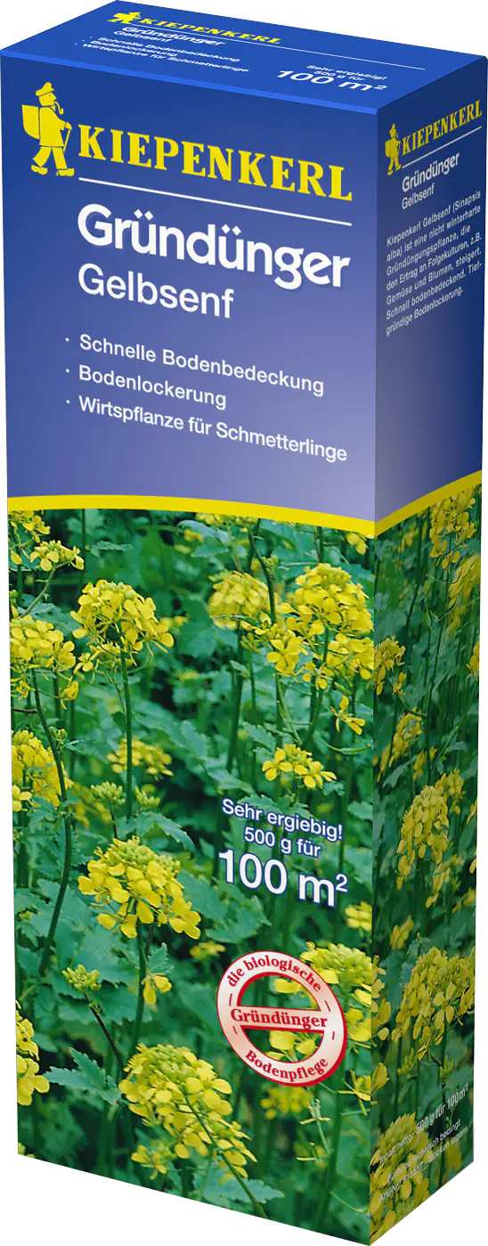 Kiepenkerl Gründünger Gelbsenf Sinapis alba, Inhalt: 500 g
