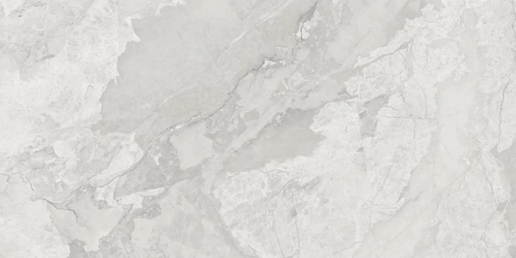 Bodenfliese Feinsteinzeug Mega 60 x 120 cm grau