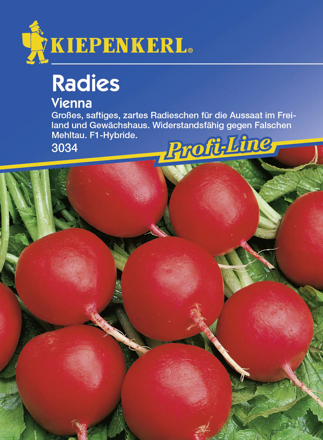 Kiepenkerl Radieschen Vienna Raphanus sativus var. sativus, Inhalt: ca. 10 lfd. Meter