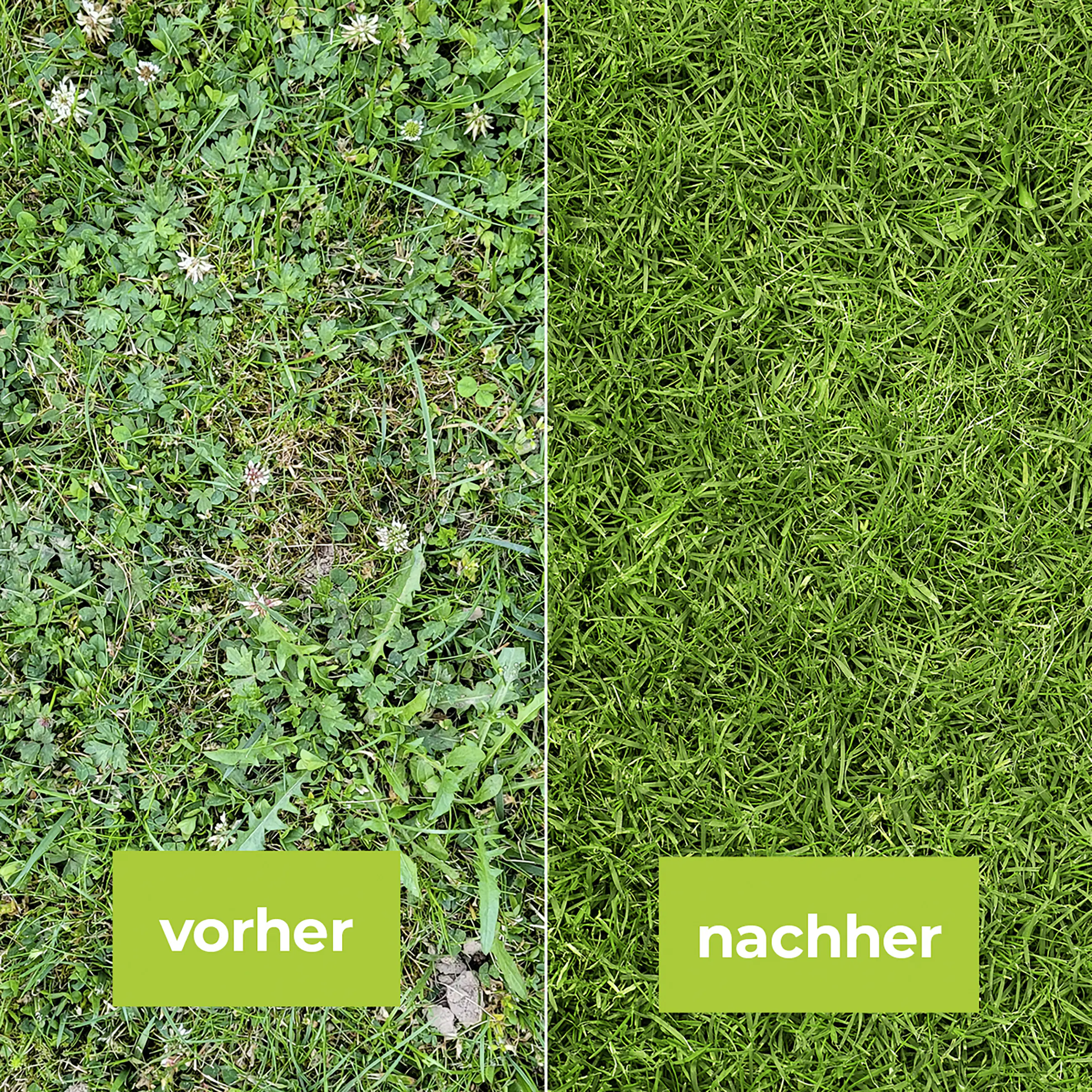 Protect Garden Loredo Quattro Universal Rasenunkrautfrei 400 ml Protect Garden Loredo Quattro Universal Rasenunkrautfrei 400 ml