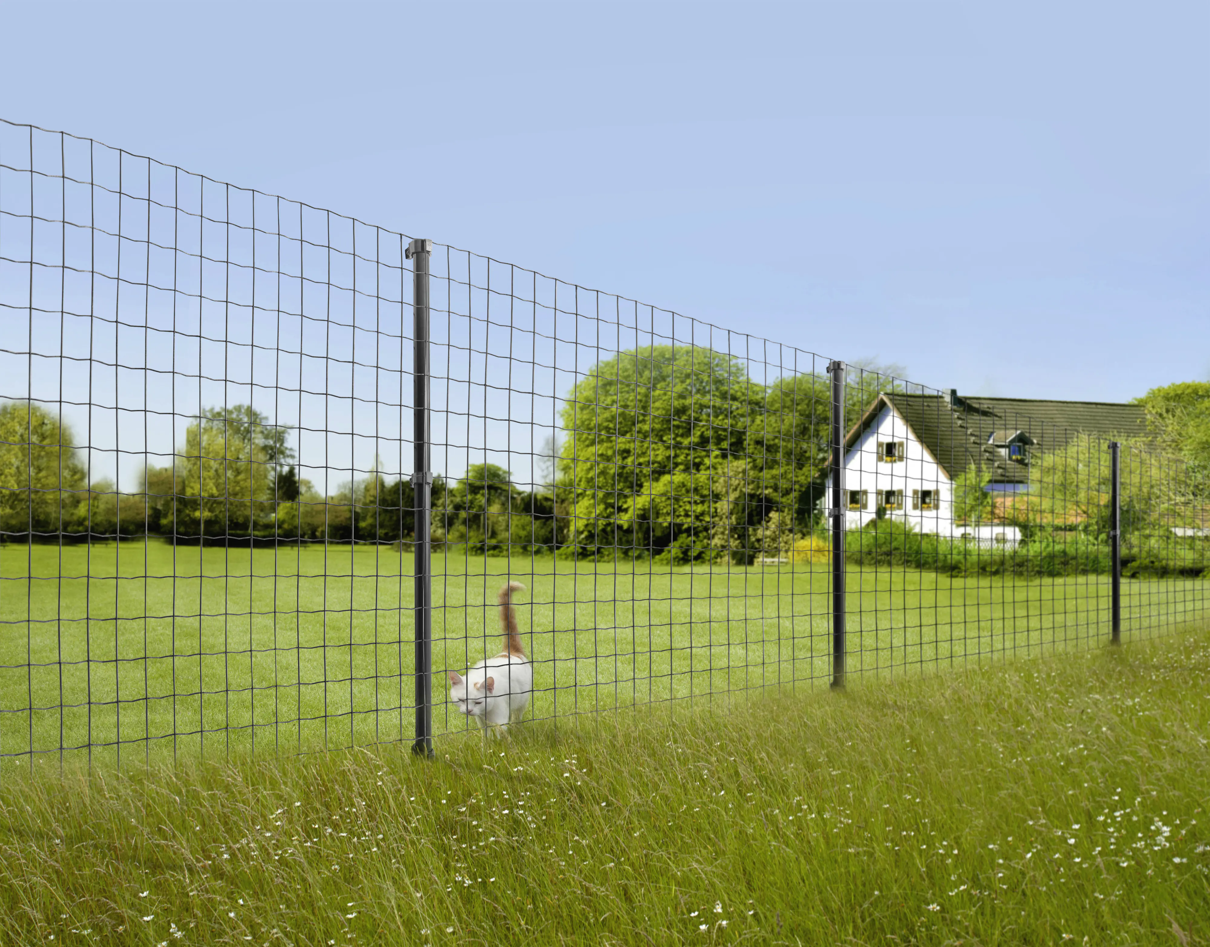 Floraworld Gitterzaun Comfort 10 x 1,22 m anthrazit