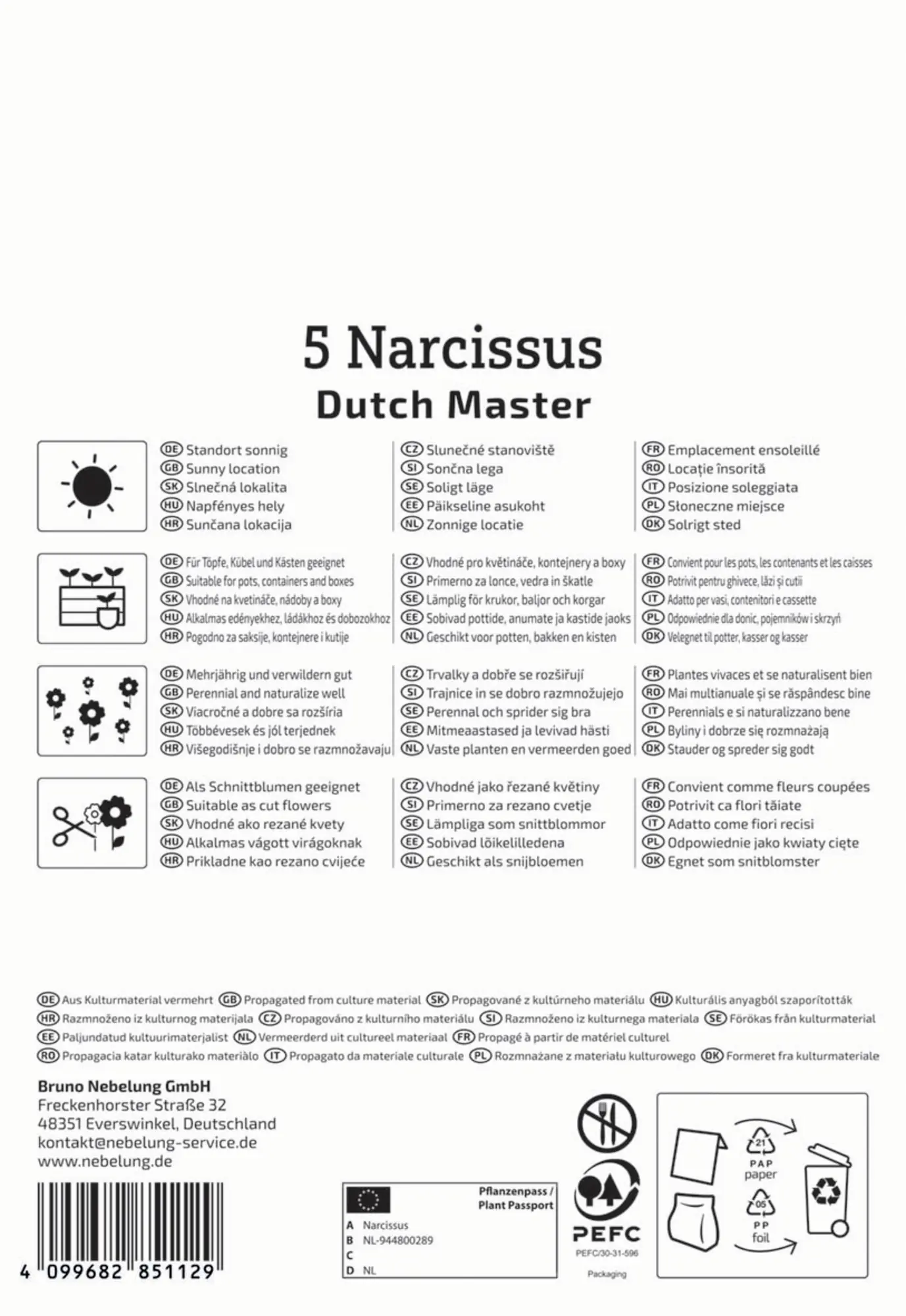 Kiepenkerl Herbstblumenzwiebel Trompeten-Narzisse Dutch Master 5 Stück