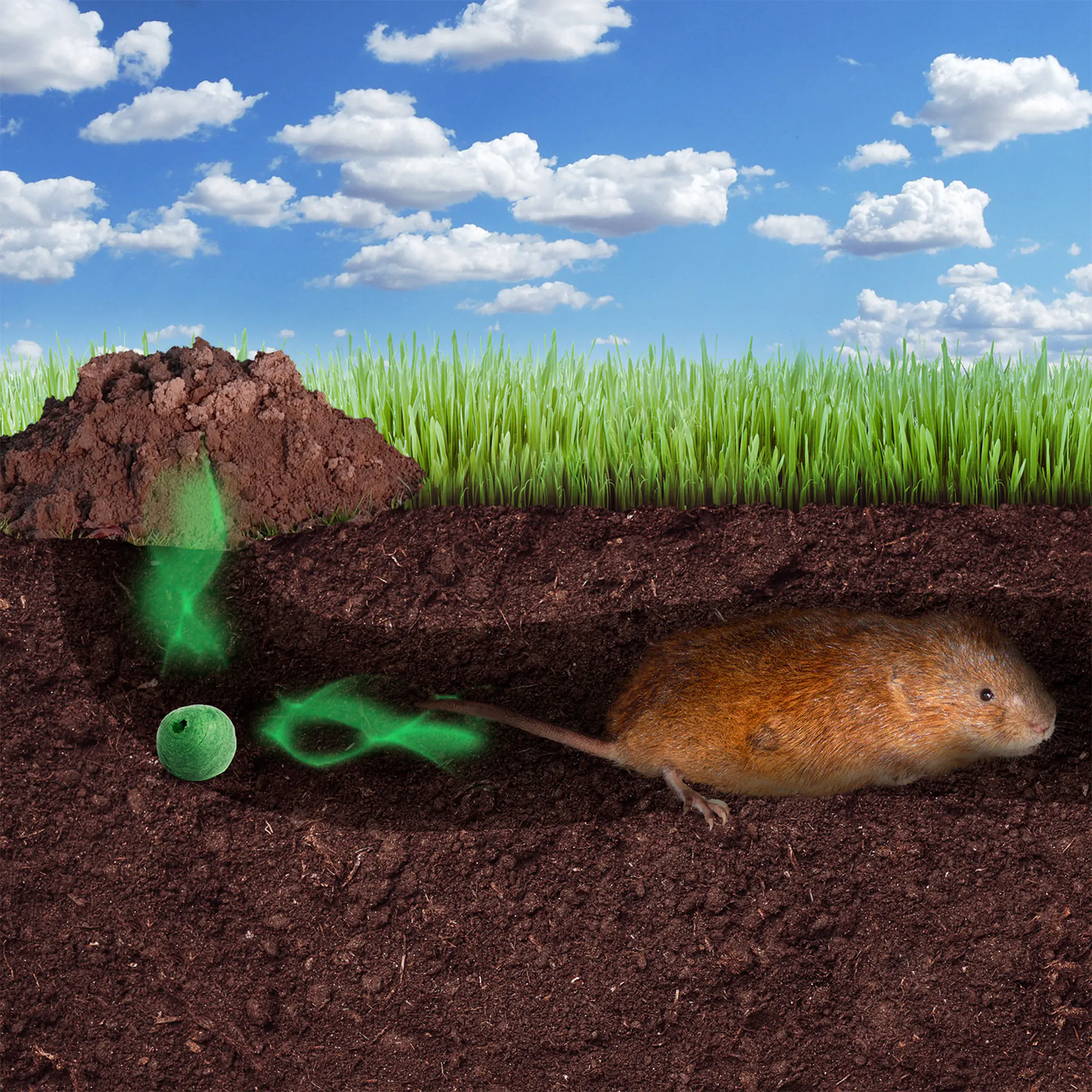 Gardigo Wühlmaus-Verdufter-Kugeln 50 Stück