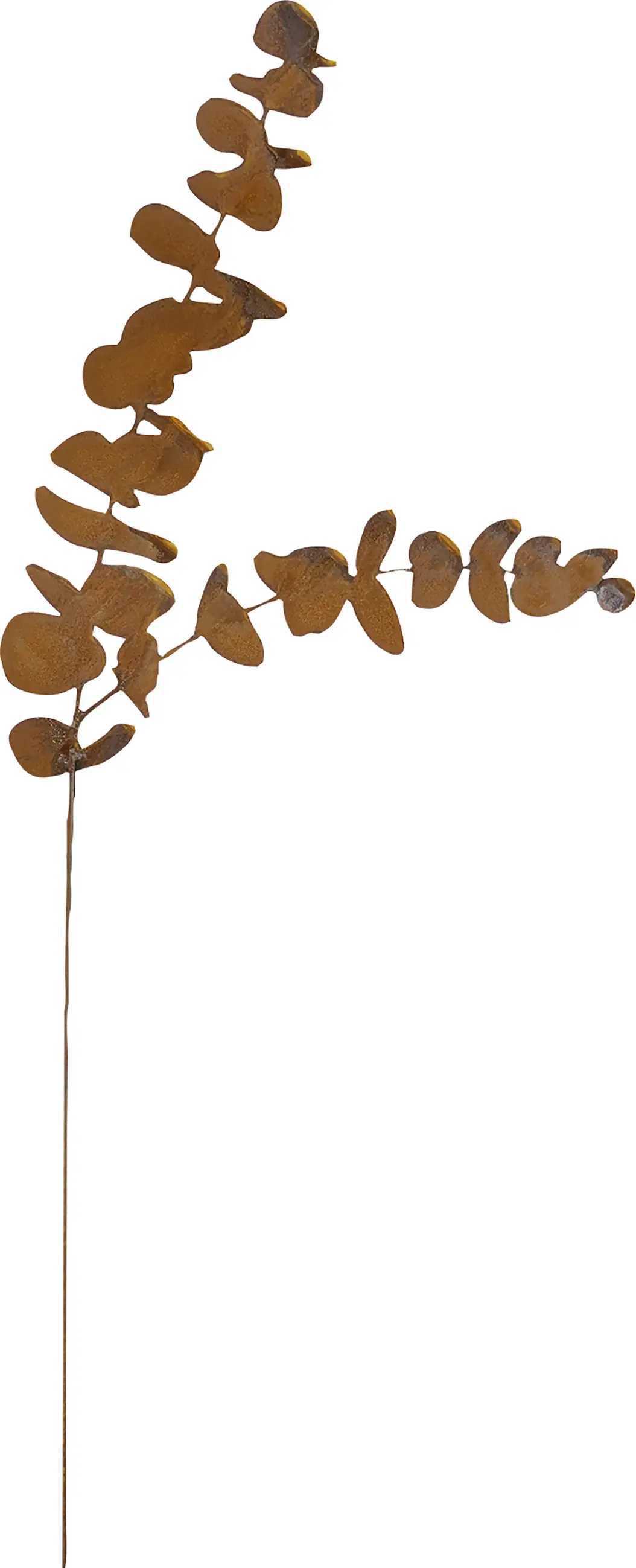 Badeko Topfstecker Eukalyptus 68 cm rostbraun