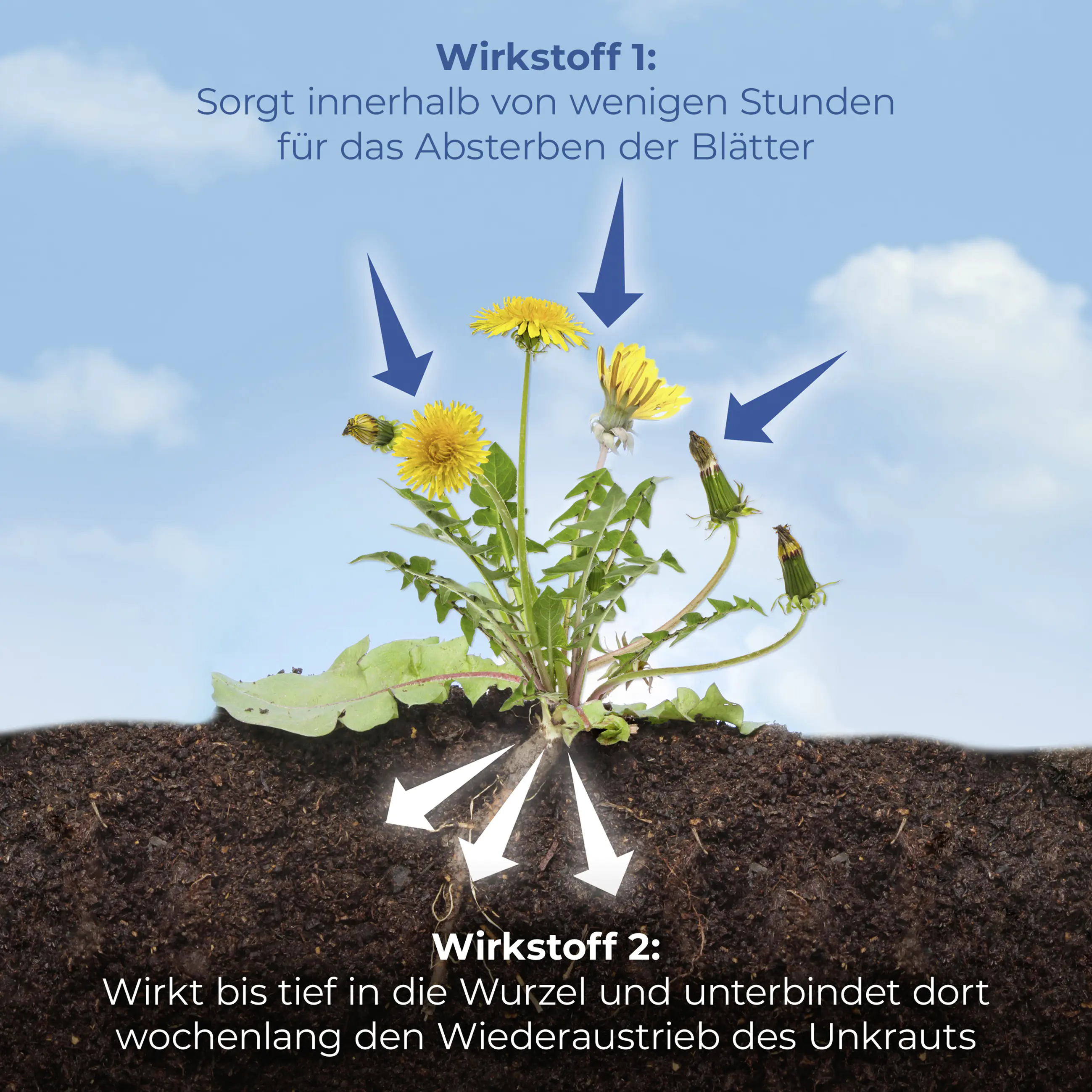 Protect Garden Permaclean Duo Unkraut & Wurzel-Ex 500 ml