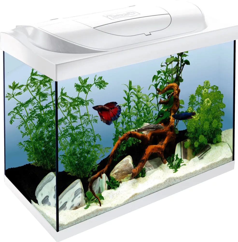 Tetra Aquarium Starter Line LED 80 L weiß Tetra Aquarium Starter Line LED 80 L weiß