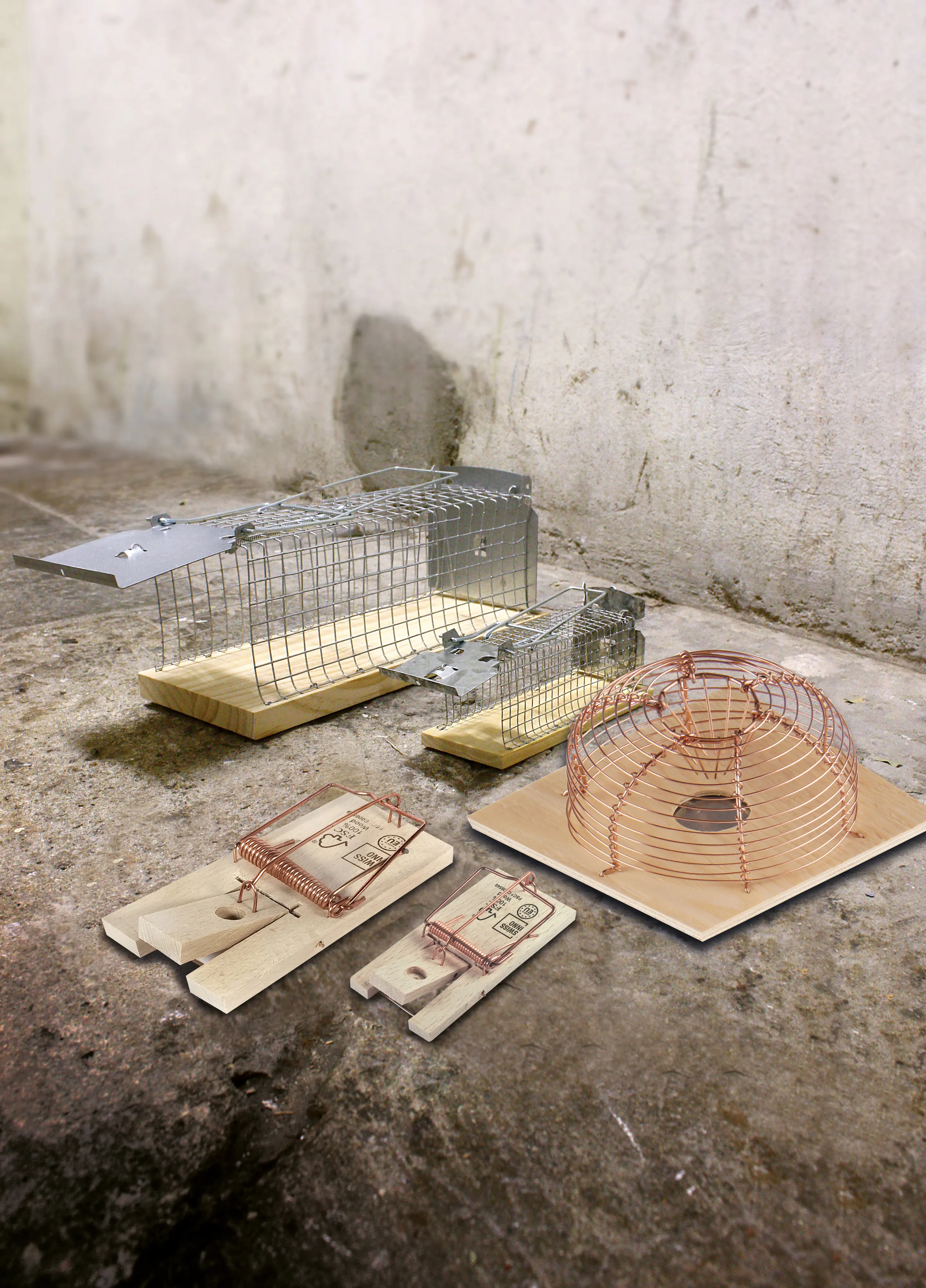 Swissinno Holz-Lebendfalle für Mäuse