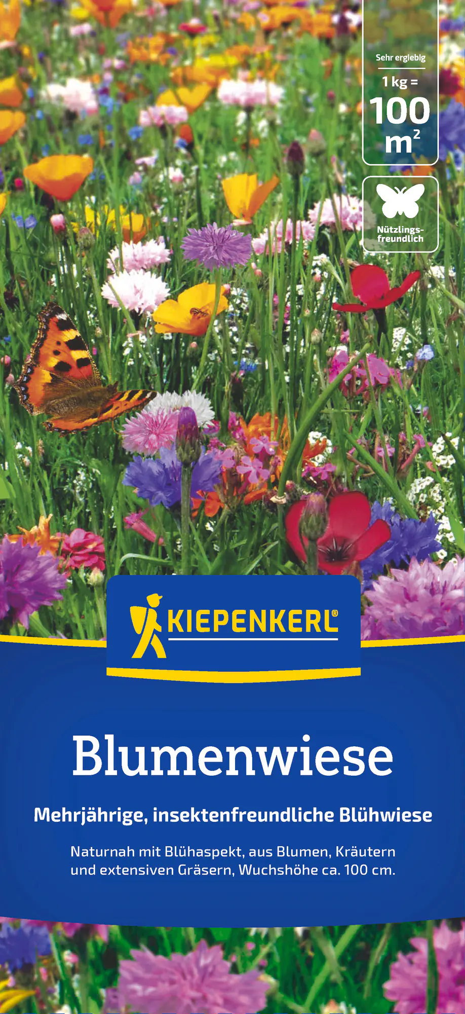 Kiepenkerl Saatgut Kiepenkerl Blumenwiese für ca. 100 m²