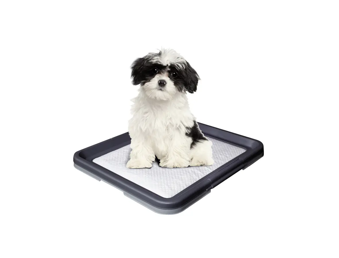 Nobby Doggy Trainer zur Welpenerziehung Größe S
