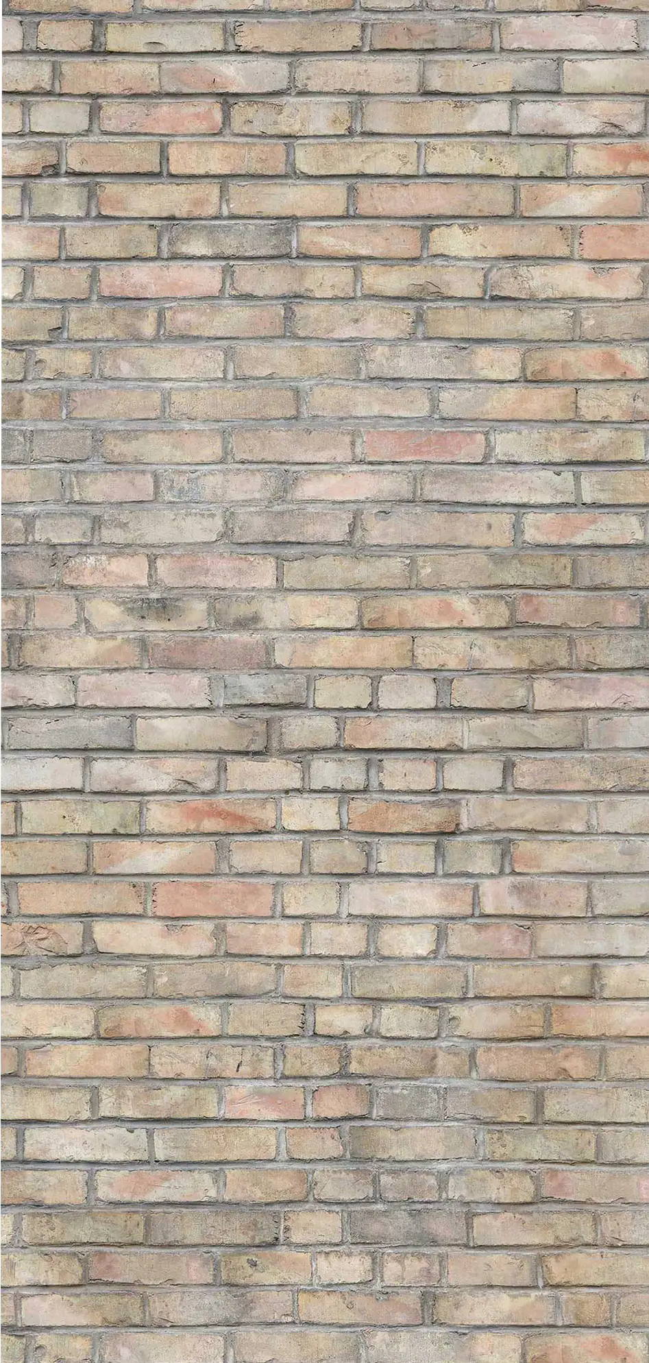 Breuer Duschrückwand Mauer-Optik Vintage Dekor 150 x 255 x 0,3 cm