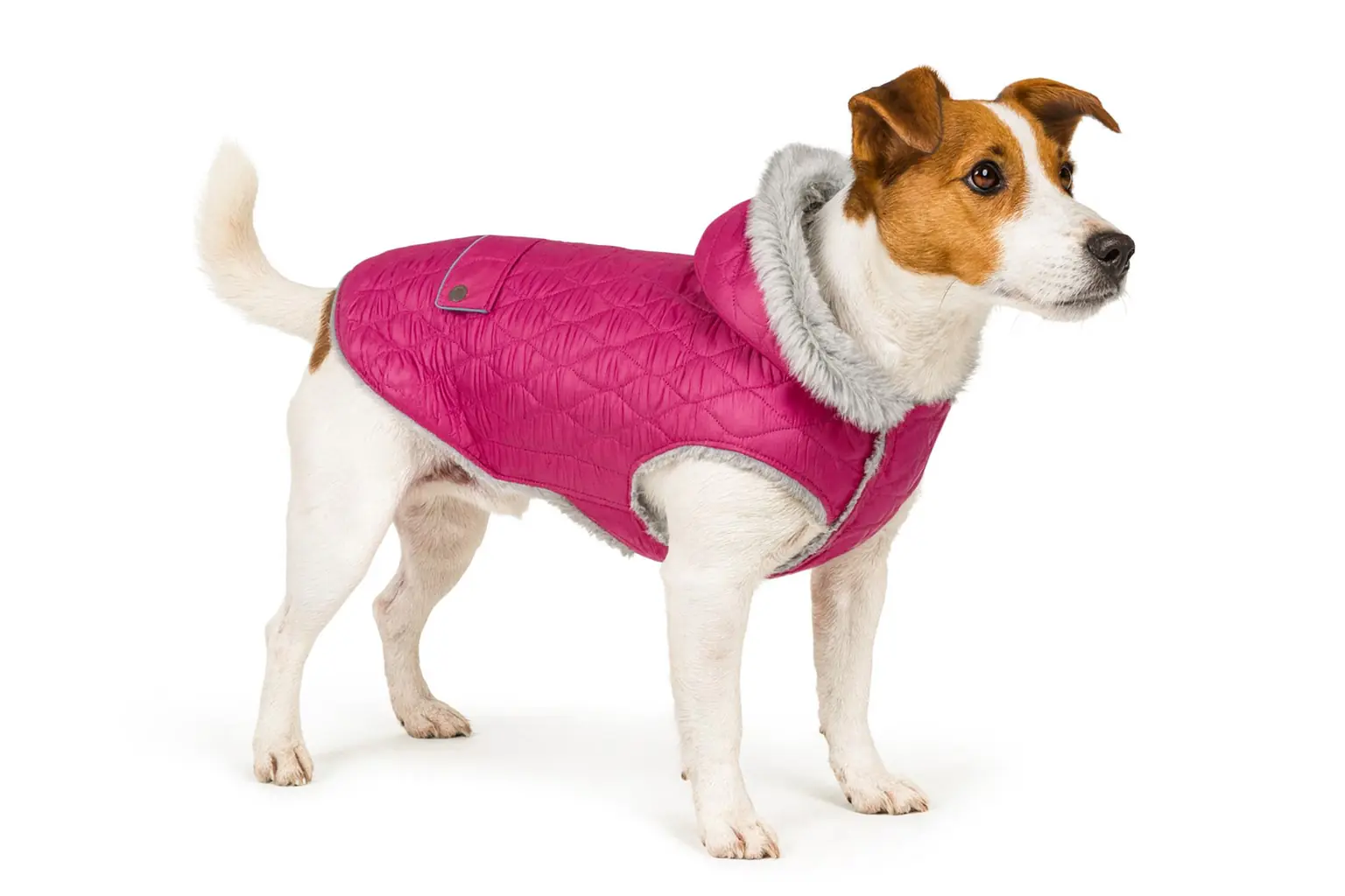 Nobby Hundemantel Polar violett Nobby Hundemantel Polar violett