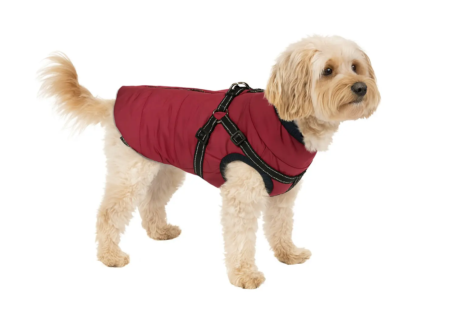 Nobby Hundemantel Salus 2 in 1 bordeaux