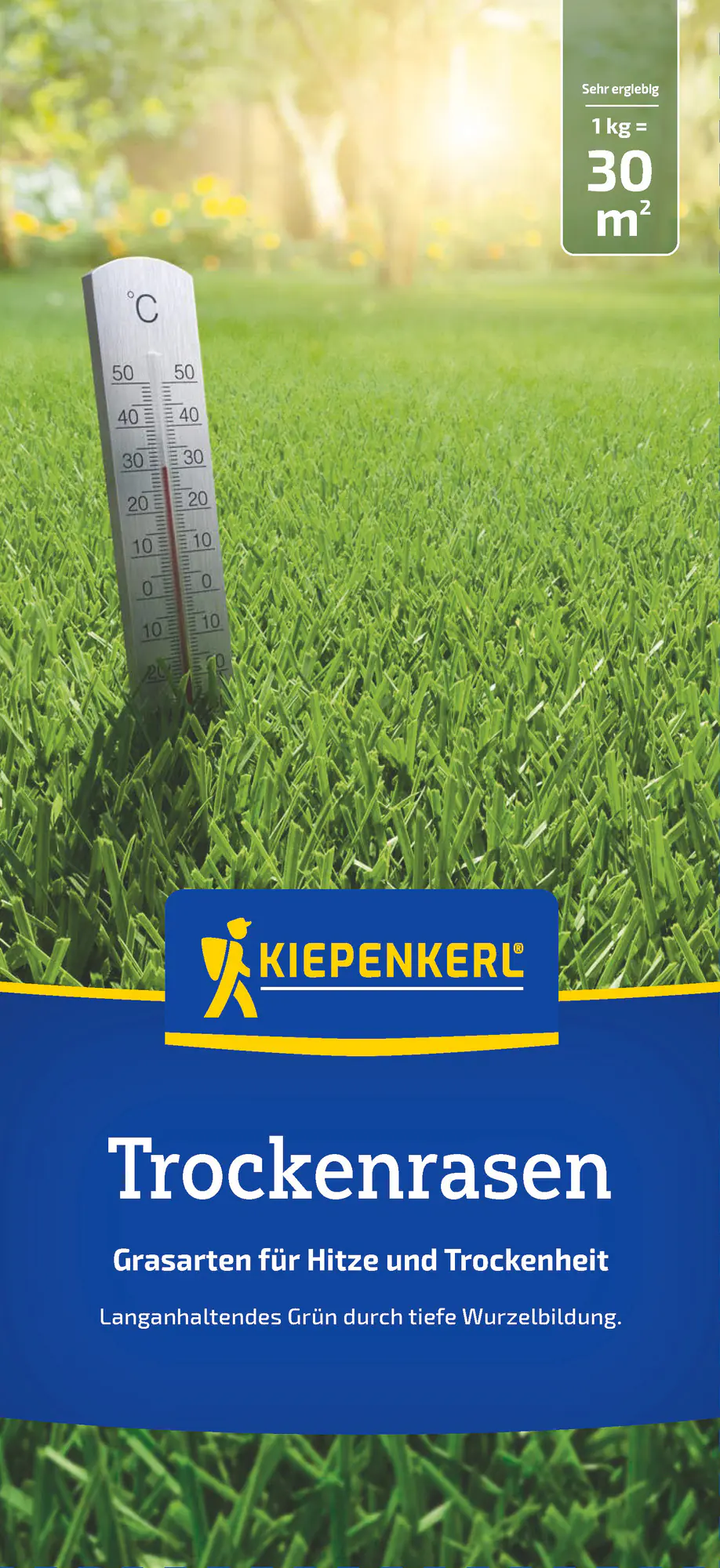 Kiepenkerl Saatgut Trockenrasen 1 kg für ca. 30 m²