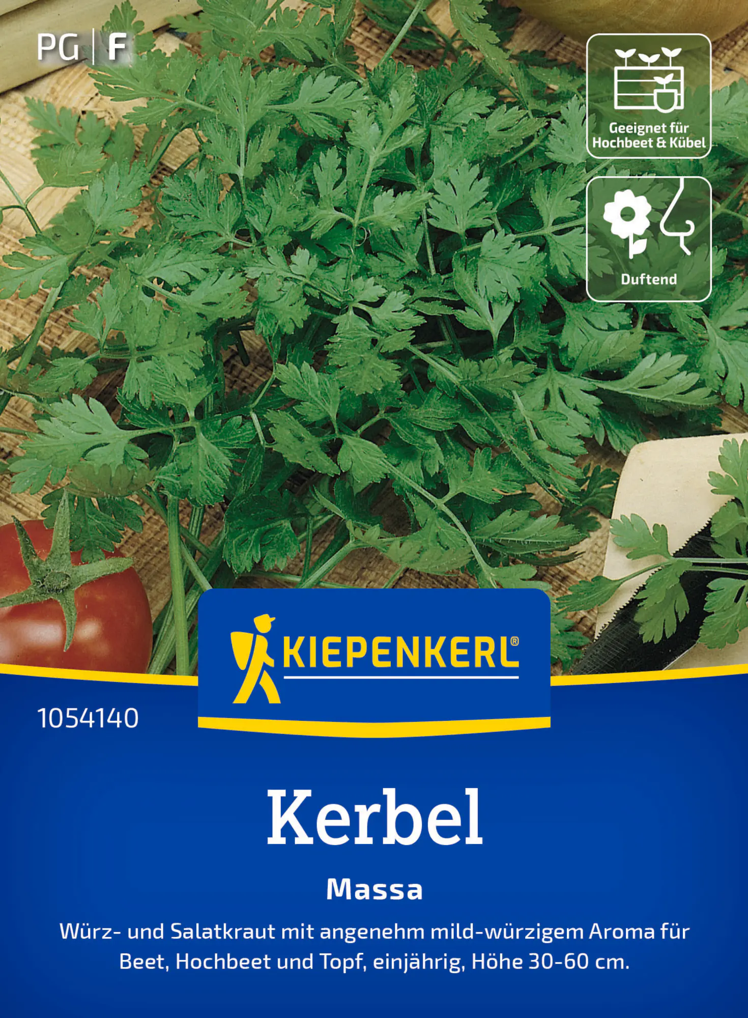 Kiepenkerl Saatgut Kerbel Massa für ca. 100 Pflanzen