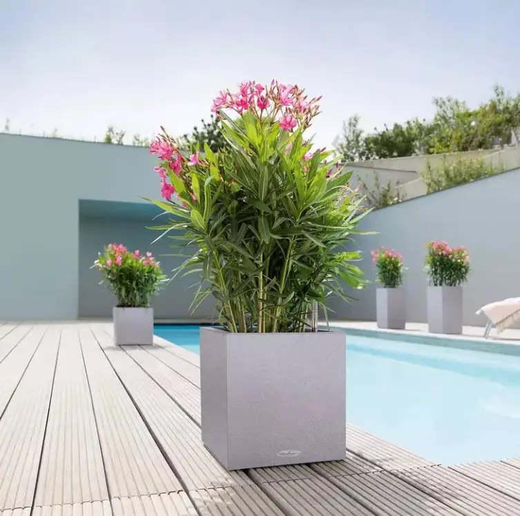 Lechuza Pflanzgefäß Canto Stone 40 low steingrau