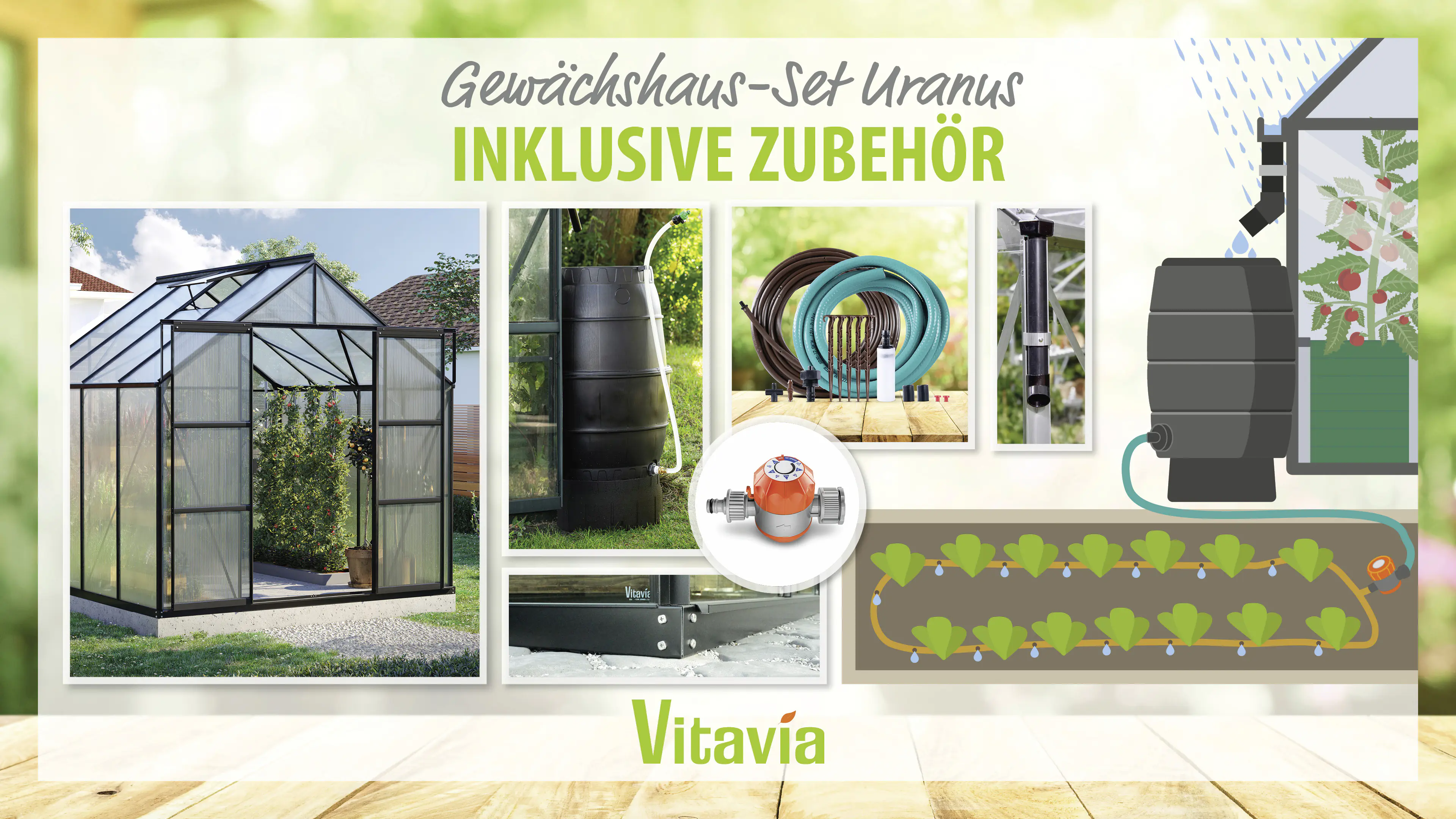 Vitavia Gewächshaus-Set Uranus 6700 HKP 6 mm schwarz 254 x 254 cm 