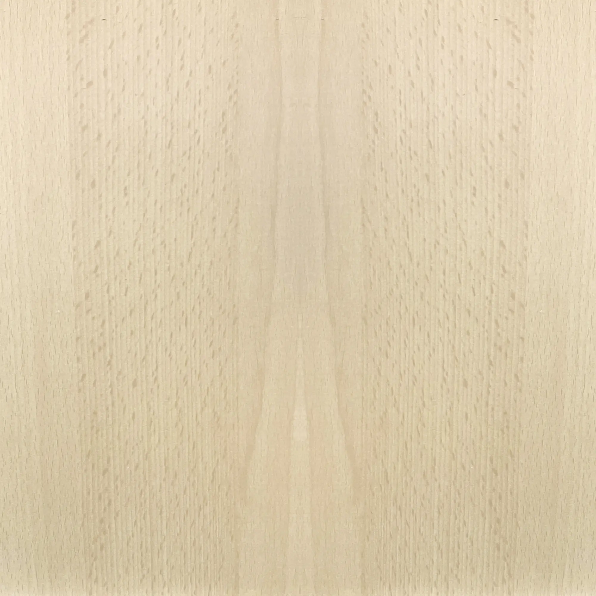 FN Neuhofer Flachleiste 95 cm 23 x 23 mm Buche