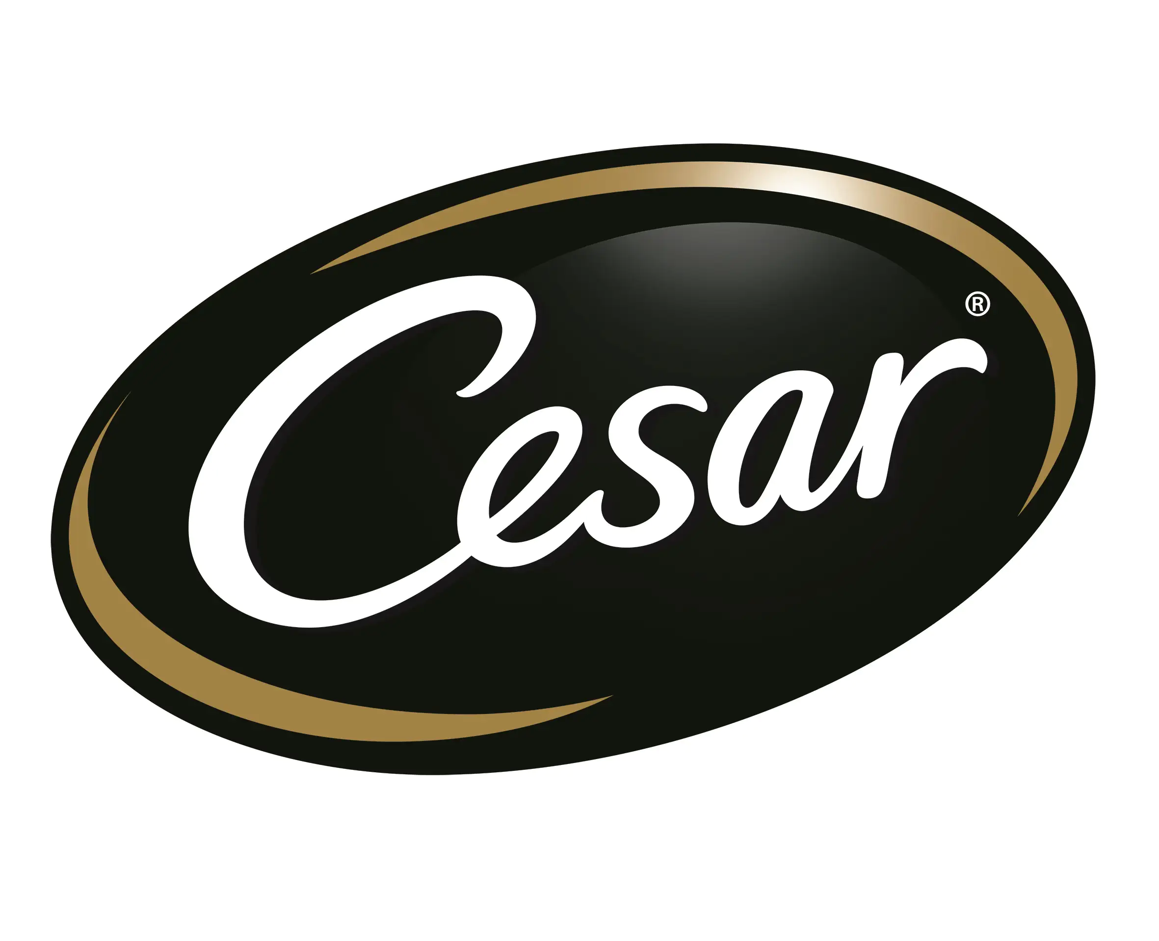 Cesar Cesar