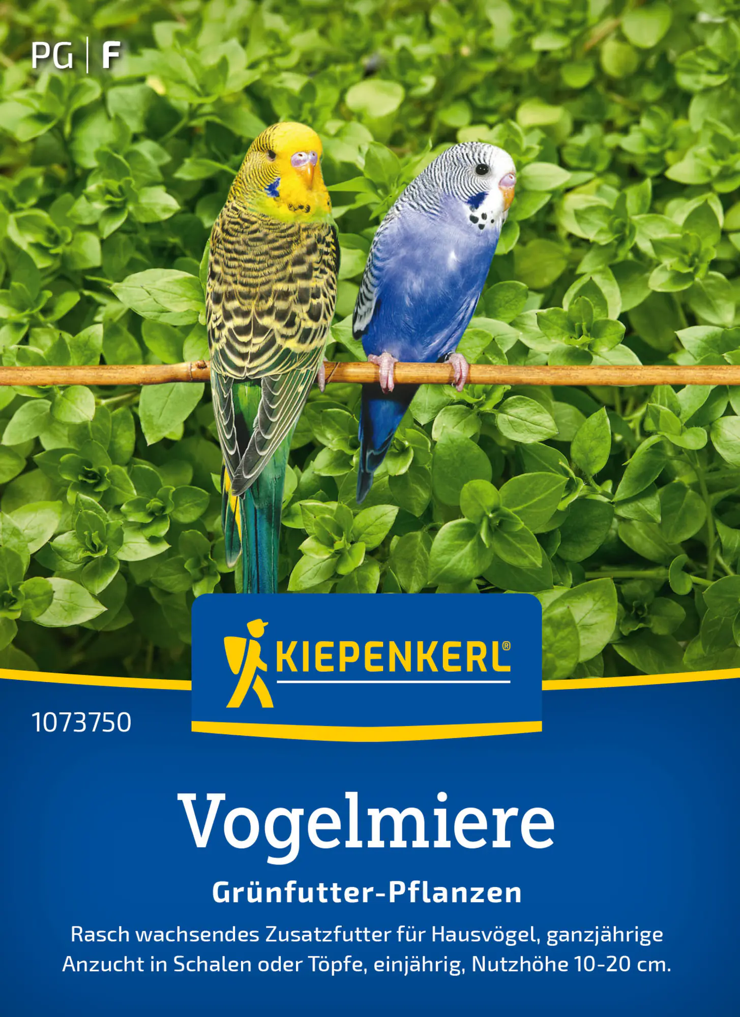 Kiepenkerl Rasensamen Vogelmiere Frischgrün-Futter für ca. 1 m²