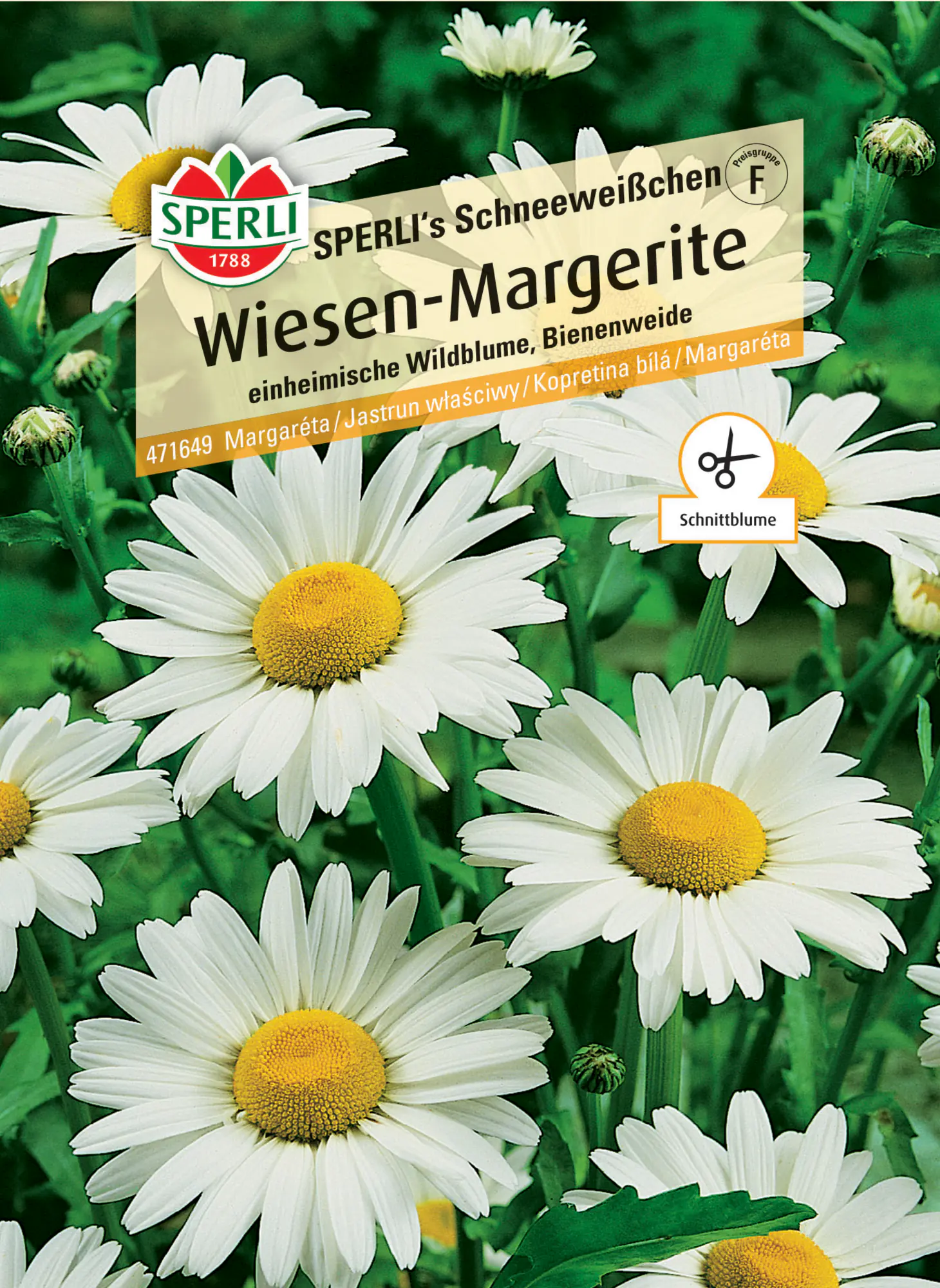 Sperli Blumensamen Wiesen-Margerite Schneeweißchen für ca. 200 Pflanzen