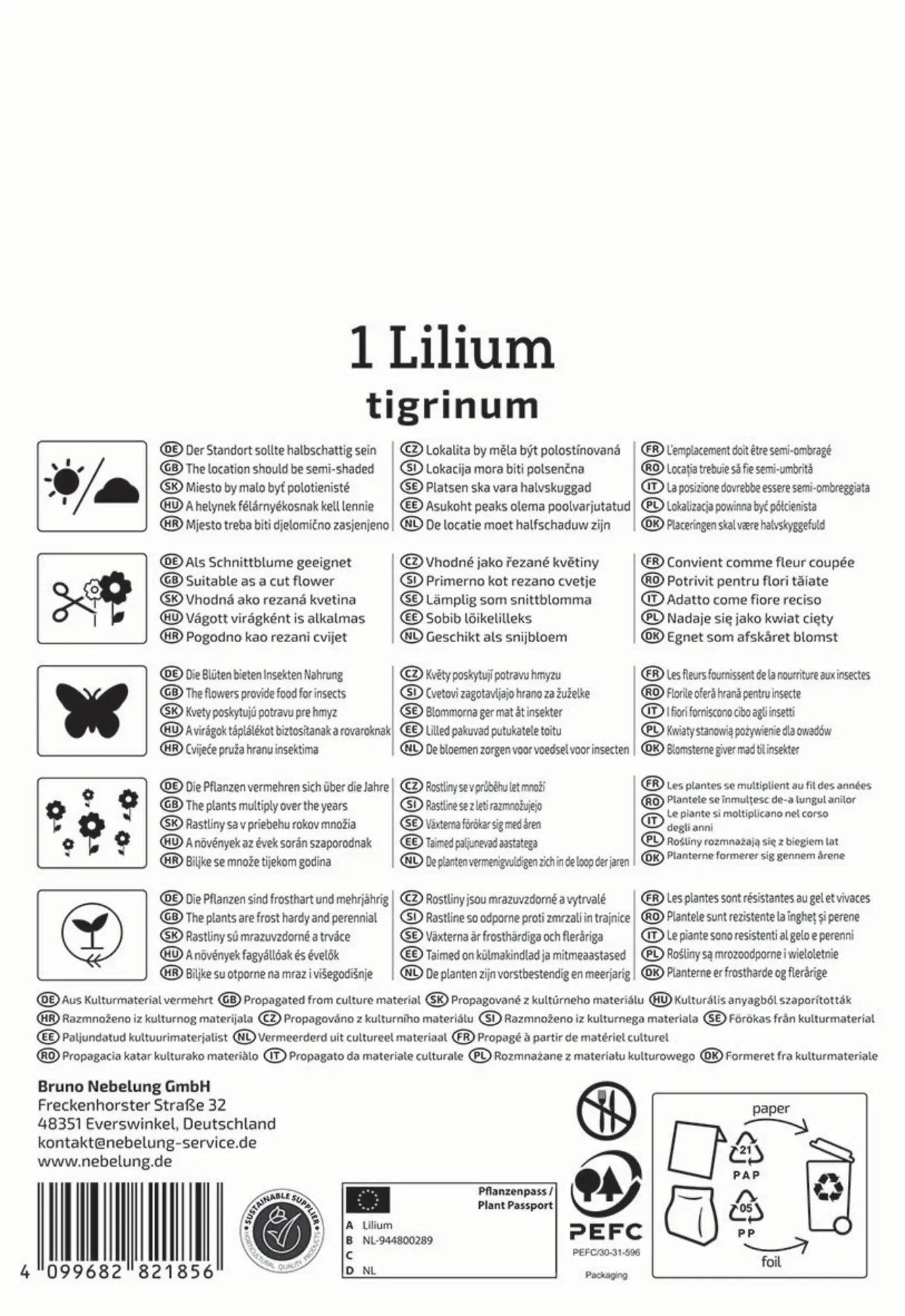 Kiepenkerl Frühjahrsblumenzwiebel Tigerlilie Lilium tigrinum 1 Stück