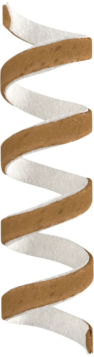 8in1 Hundeleckerli Chicken Spirals 60 g