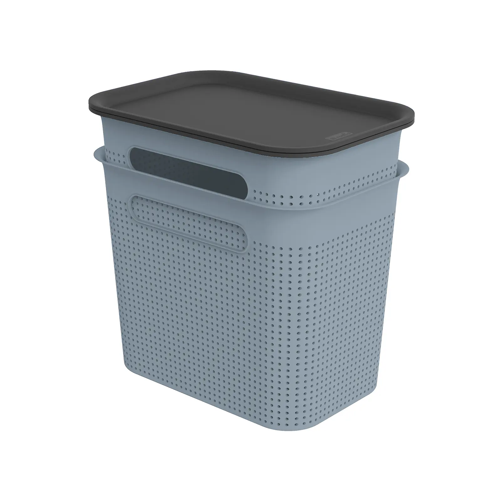 Rotho Aufbewahrungsbox Brisen mit Deckel 26,6 x 18,5 cm 7 L misty blau 2er Set