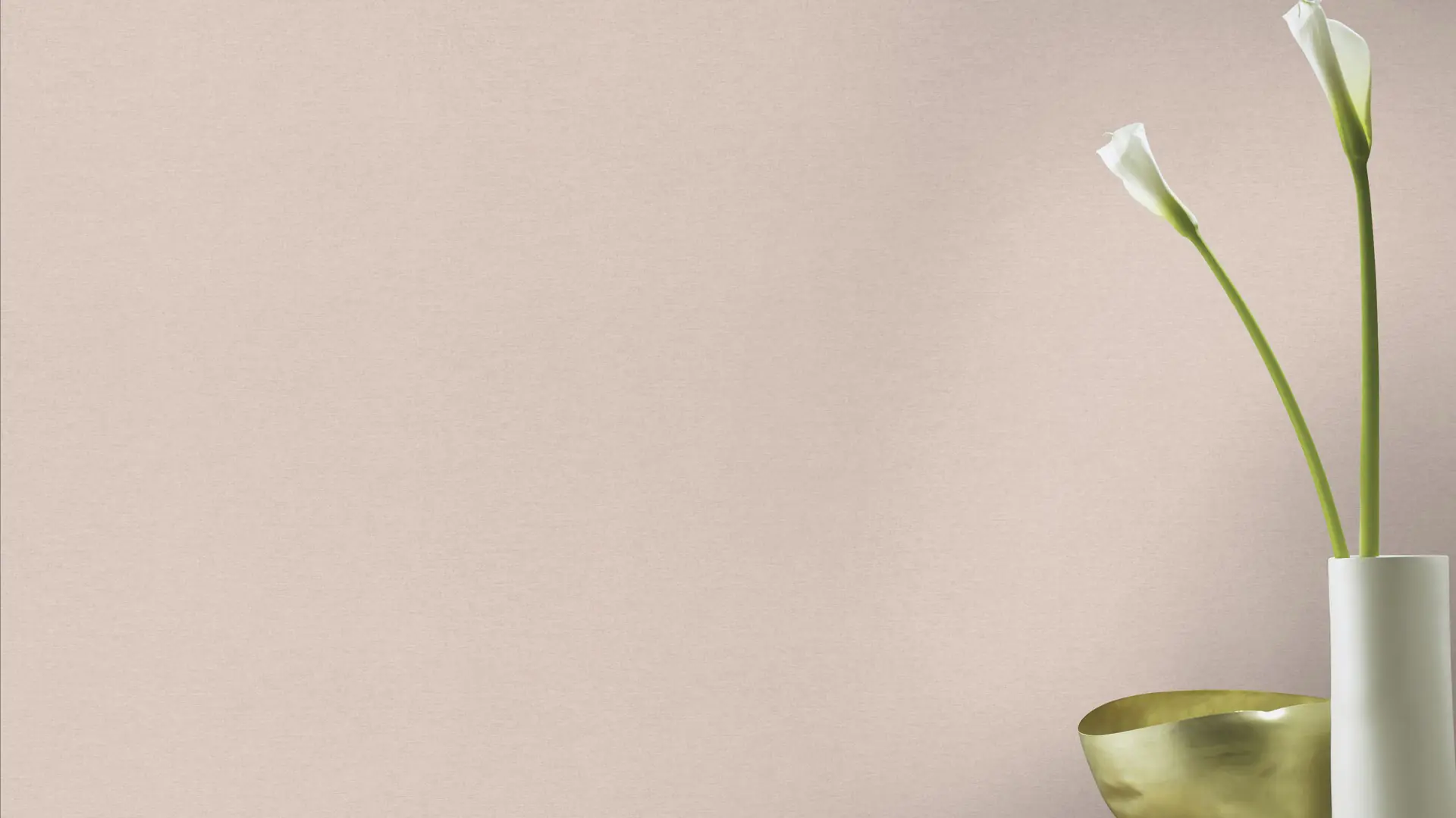 Schöner Wohnen Vliestapete Uni rose 10,05 x 0,53 m