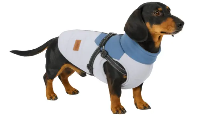 Nobby Hundemantel Jona 2 in 1 hellblau Nobby Hundemantel Jona 2 in 1 hellblau