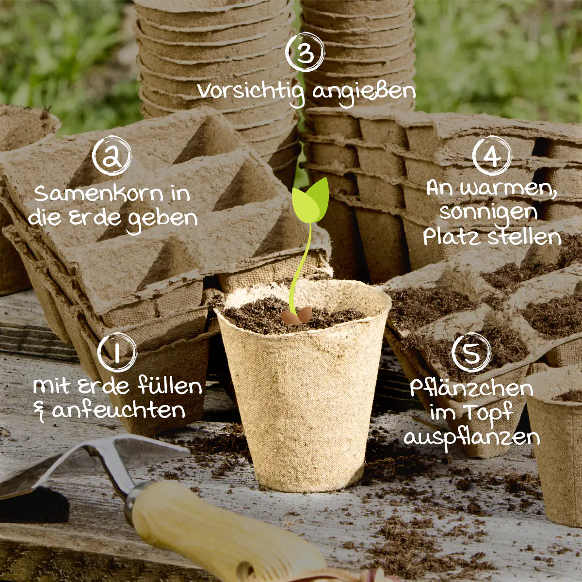 Windhager Anzuchttöpfe Ø 8 cm, 48 Stück