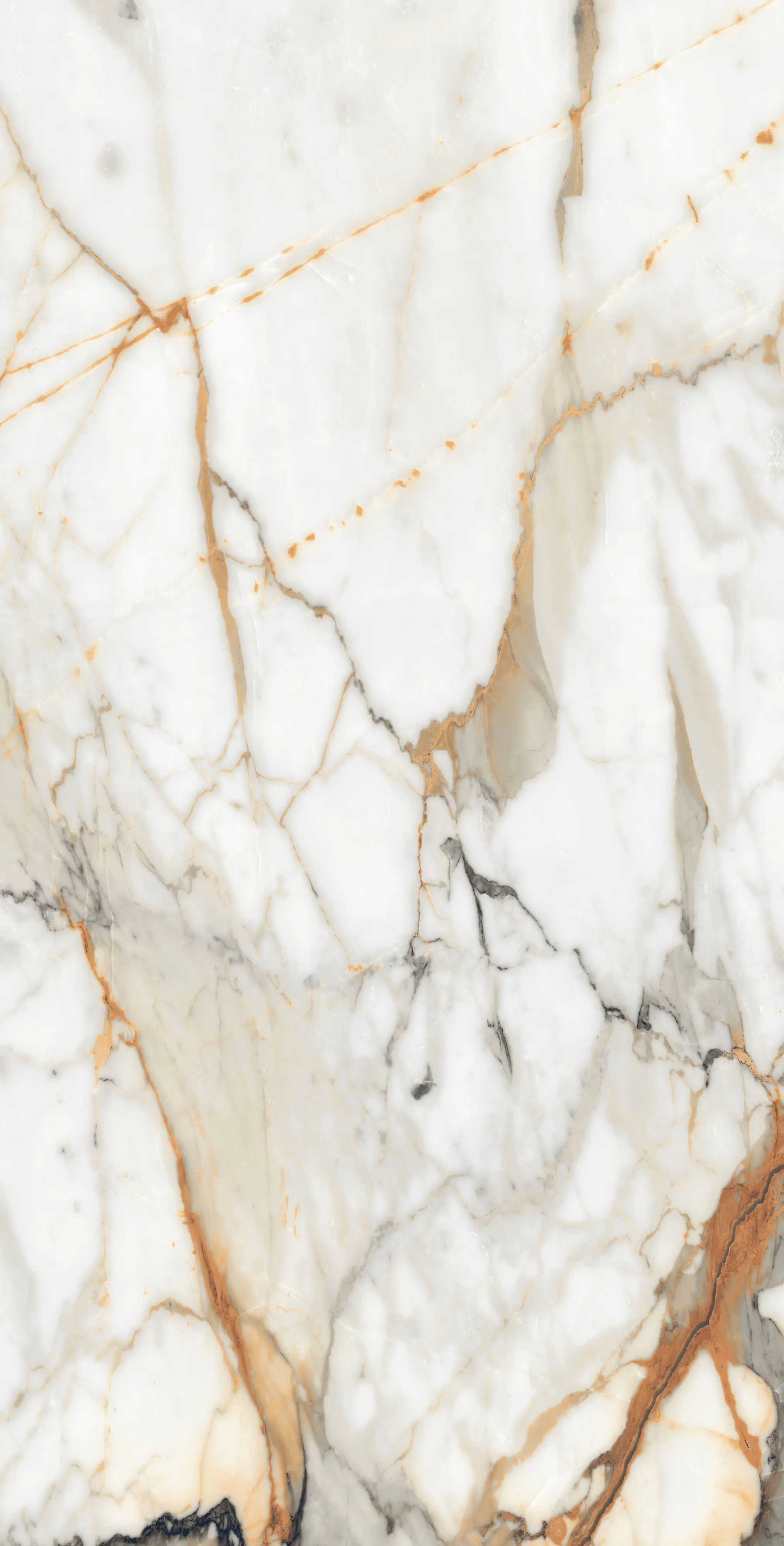 Bodenfliese Feinsteinzeug Visage Gold Plus 60 x 120 cm weiß