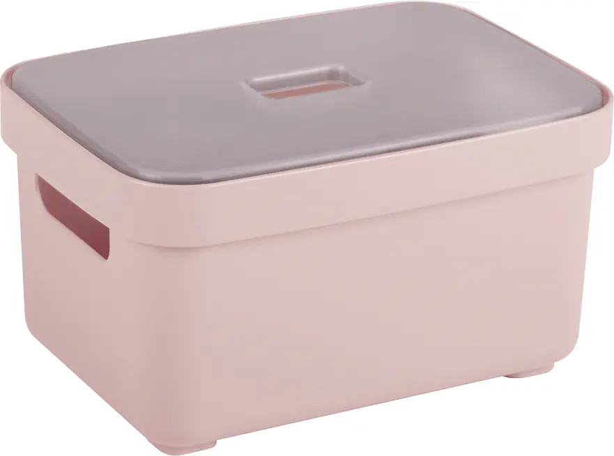 Sunware Aufbewahrungsbox Sigma Home 2,5 l rosa