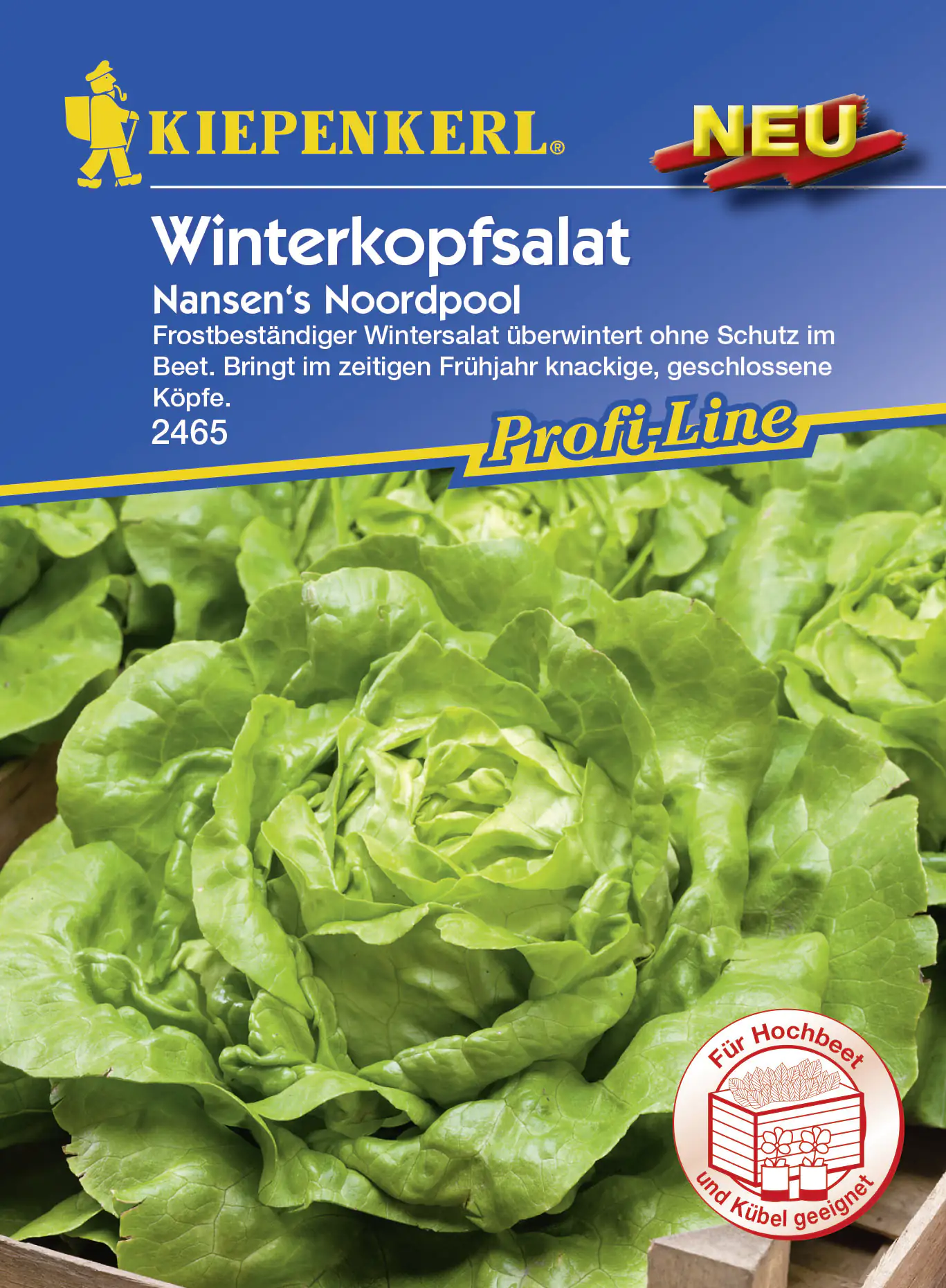4000159174658 Kiepenkerl Winterkopfsalat Nansen's Noordpool ca. 90 Pflanzen