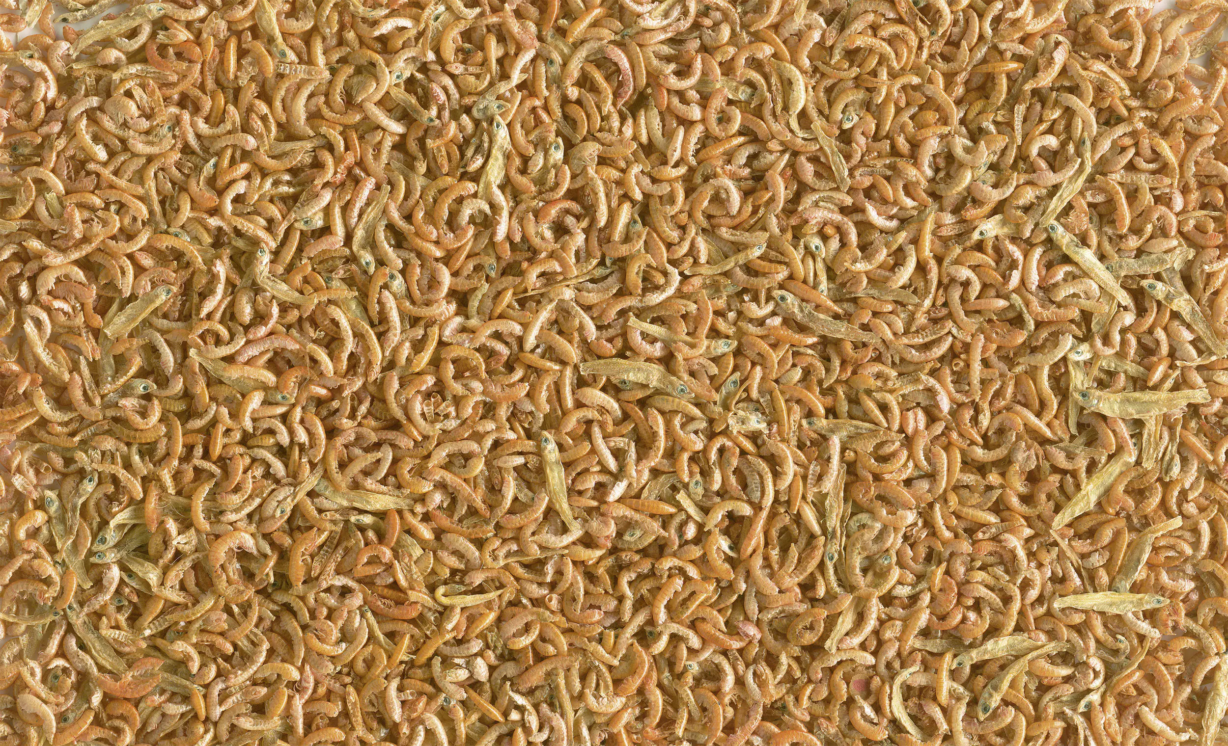 Tetra GammarusMix 250 ml