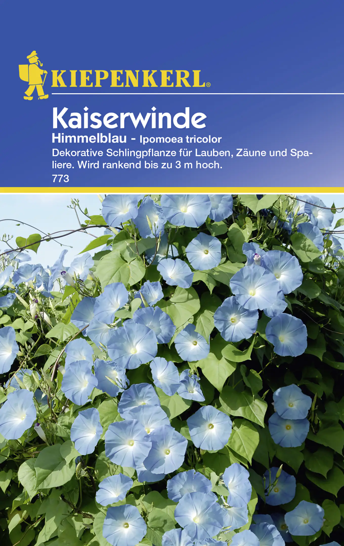 Kiepenkerl Kaiserwinde Himmelblau Ipomoea tricolor, Inhalt: ca. 20 Pflanzen