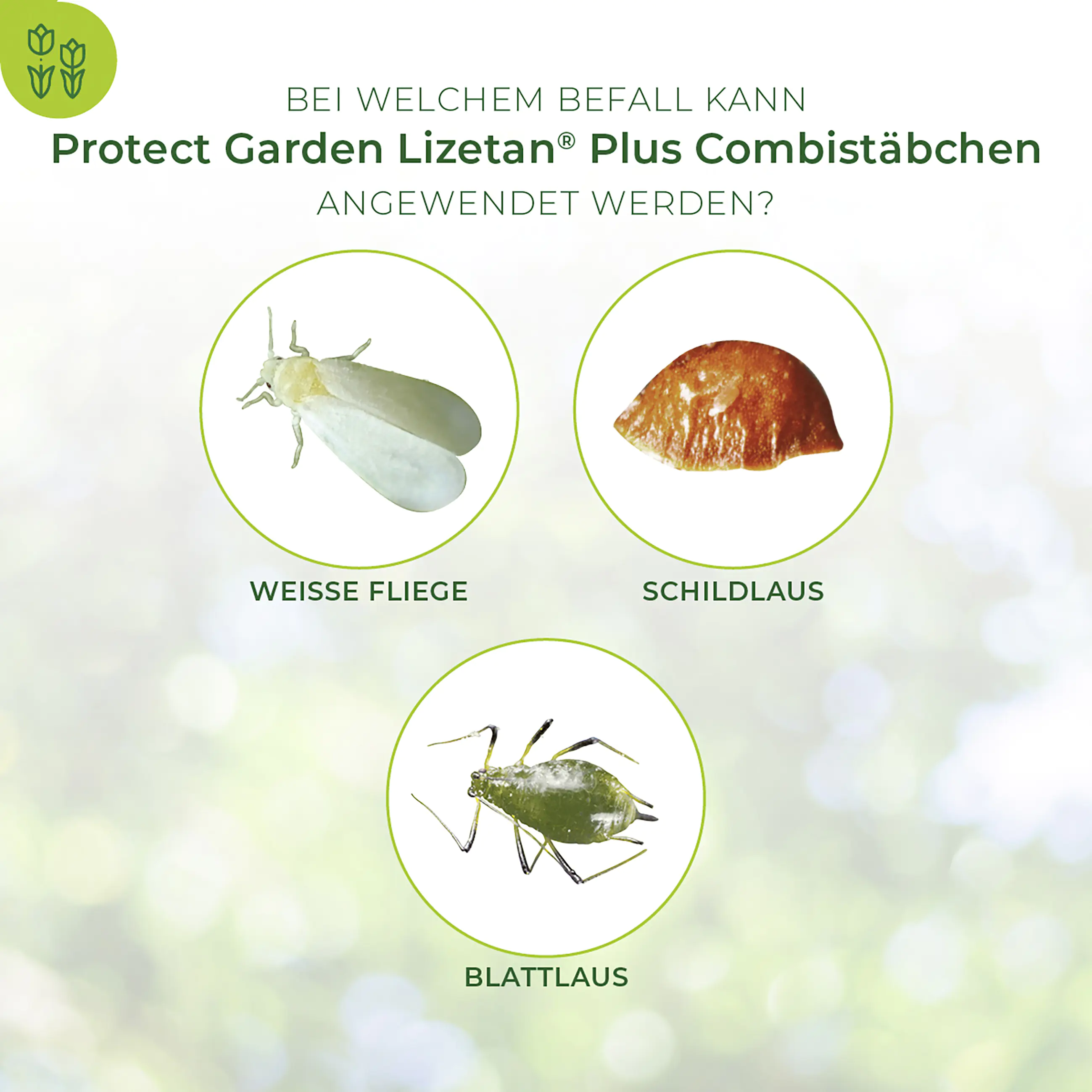 Protect Garden Lizetan Plus Combistäbchen 20 Stück Protect Garden Lizetan Plus Combistäbchen 20 Stück