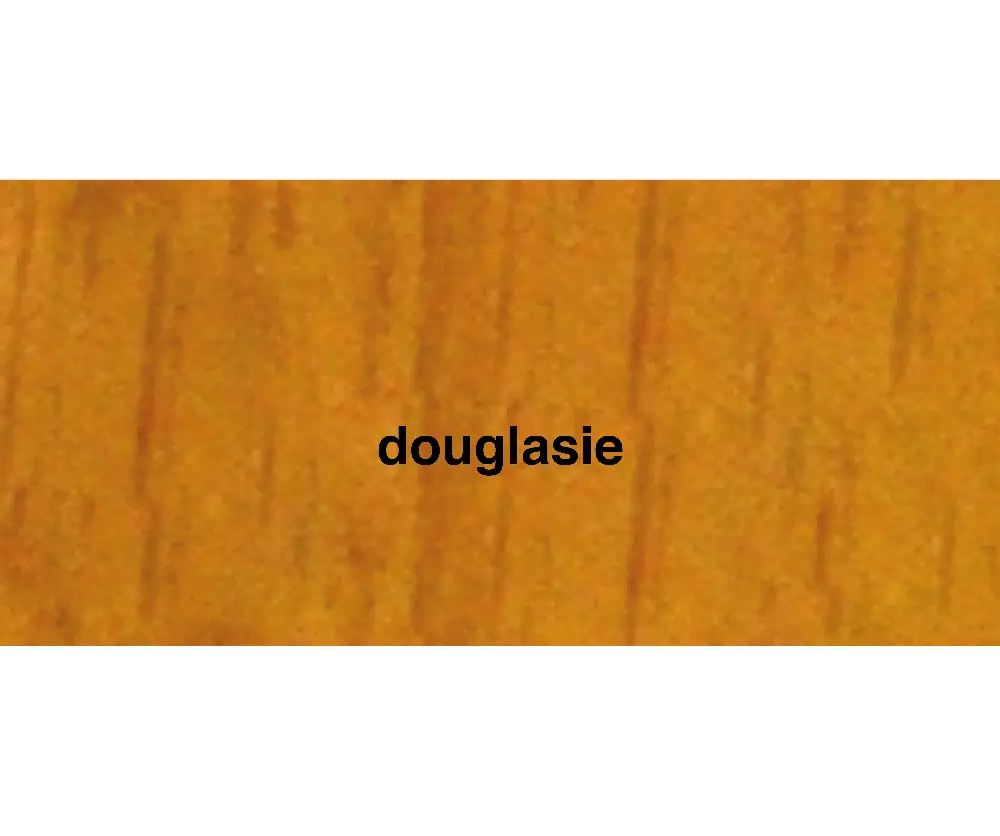 Primaster Gartenholzöl 2,5 L douglasie Primaster Gartenholzöl 2,5 L douglasie