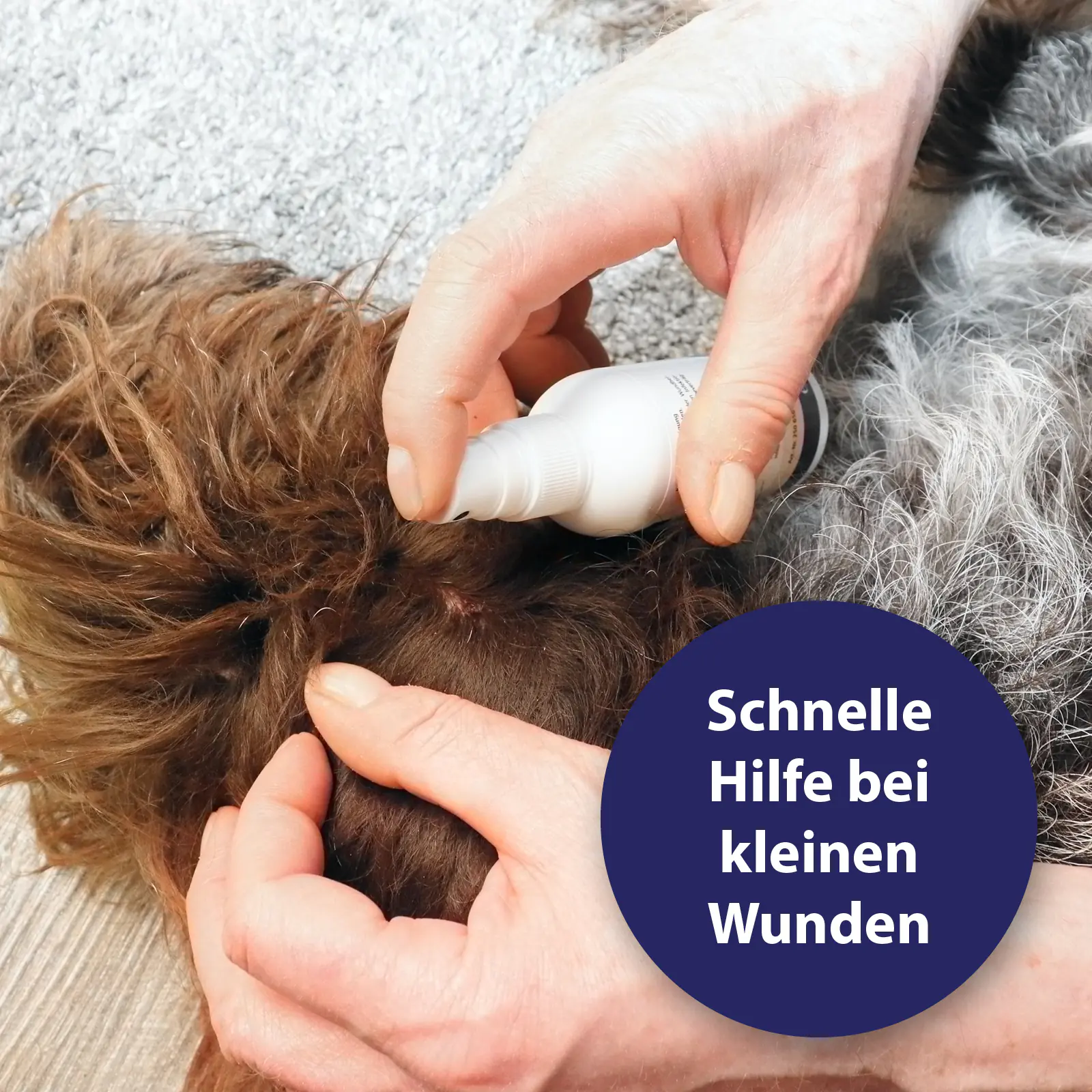 Canosept Wundspray für Hunde 75 ml Canosept Wundspray für Hunde 75 ml