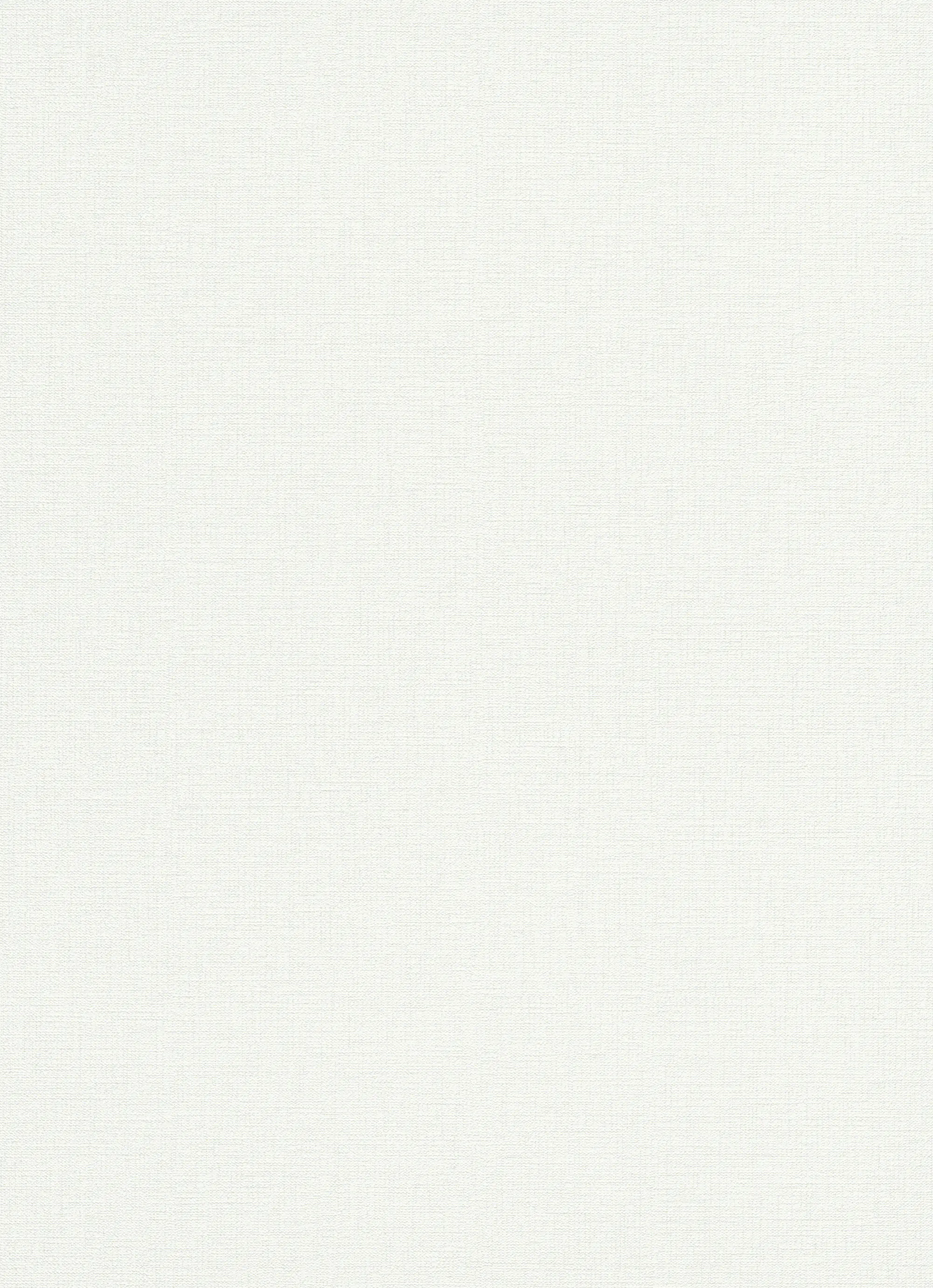 Erismann Vliestapete 5414-01 Hacienda grafisch weiß 10,05 x 0,53 m