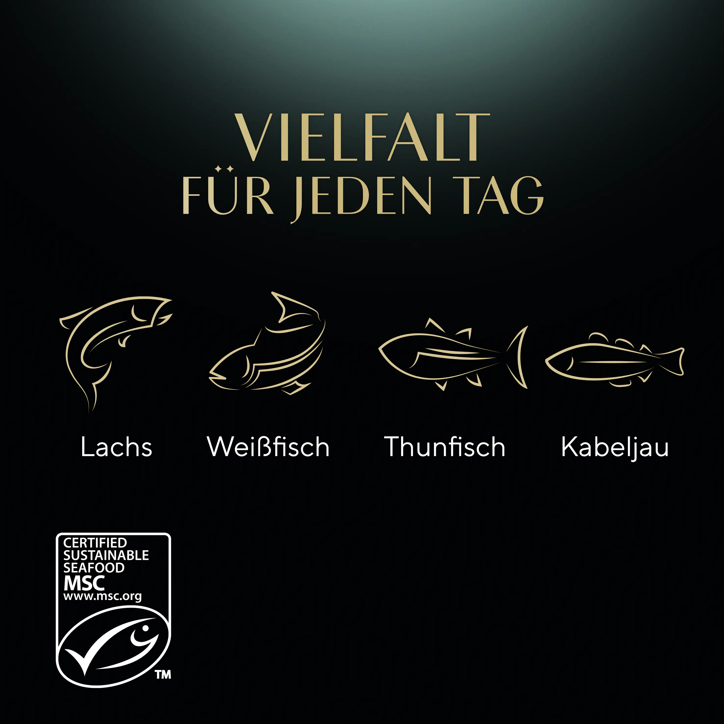 Sheba Katzennassfutter Adult 60 x 85 g Fisch in Gelee