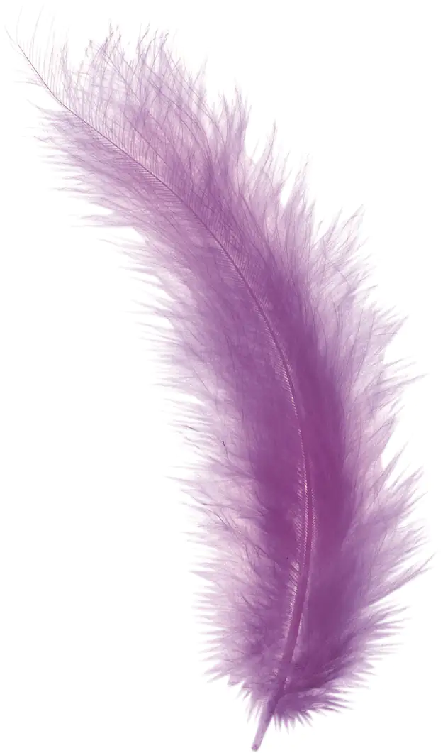 Glorex Marabufedern flieder ca. 15 Stück