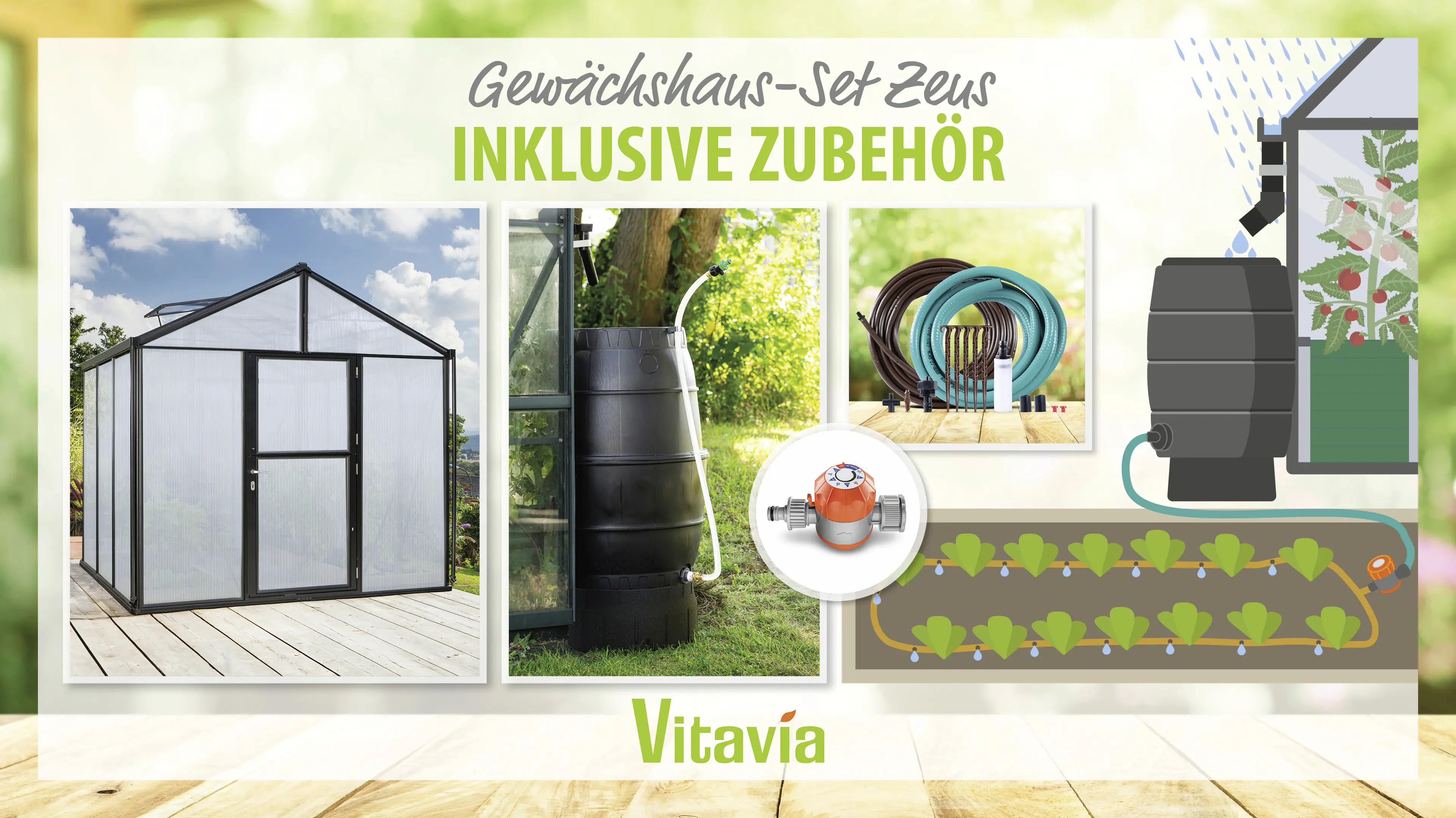 Vitavia Gewächshaus-Set Zeus 6200 HKP 16 mm schwarz 266 x 249 cm 